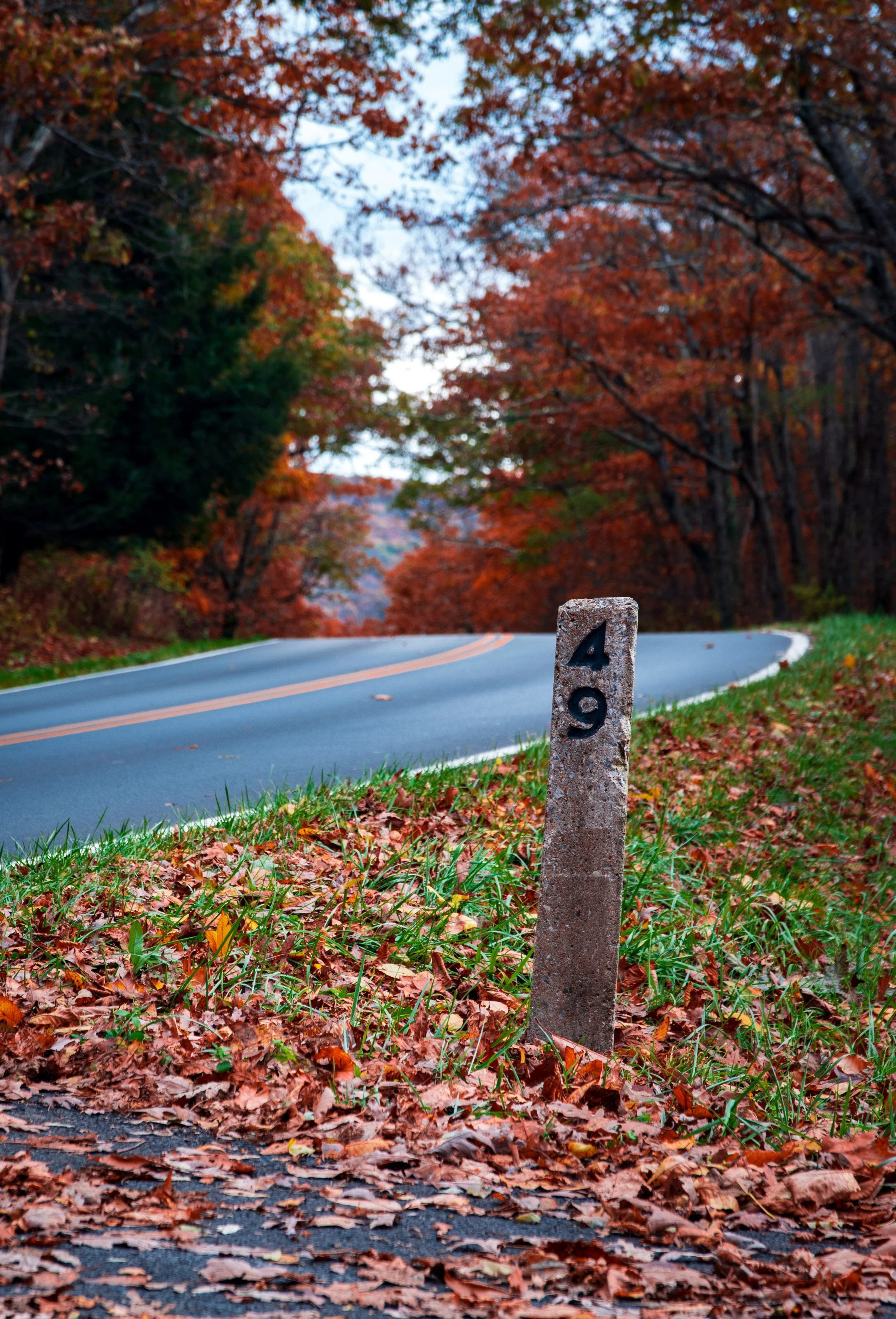 Skyline Drive 10-31-21 Edited-17.jpg