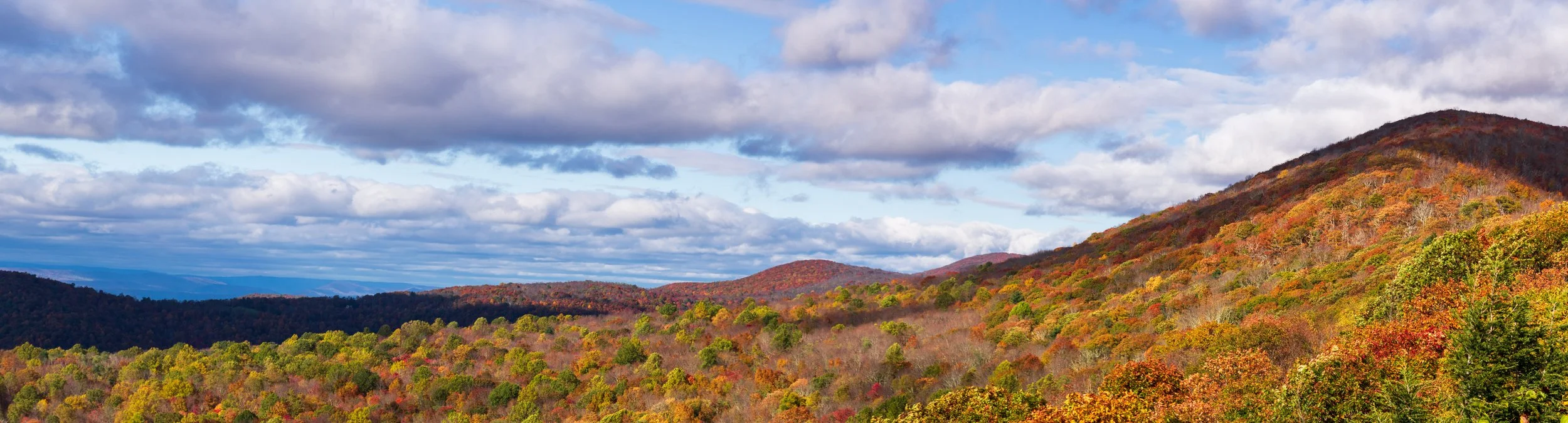 Skyline Drive 10-31-21 Edited-11.jpg