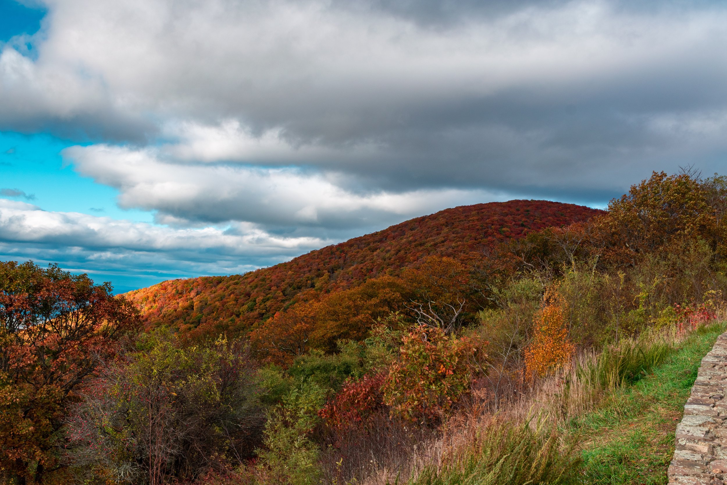 Skyline Drive 10-31-21 Edited-22.jpg