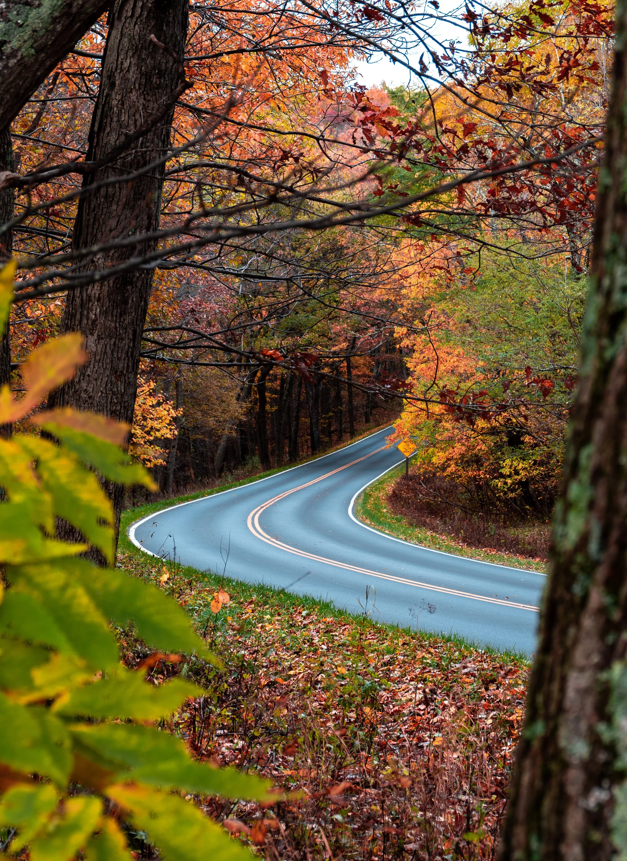 Skyline Drive 10-31-21 Edited-16.jpg