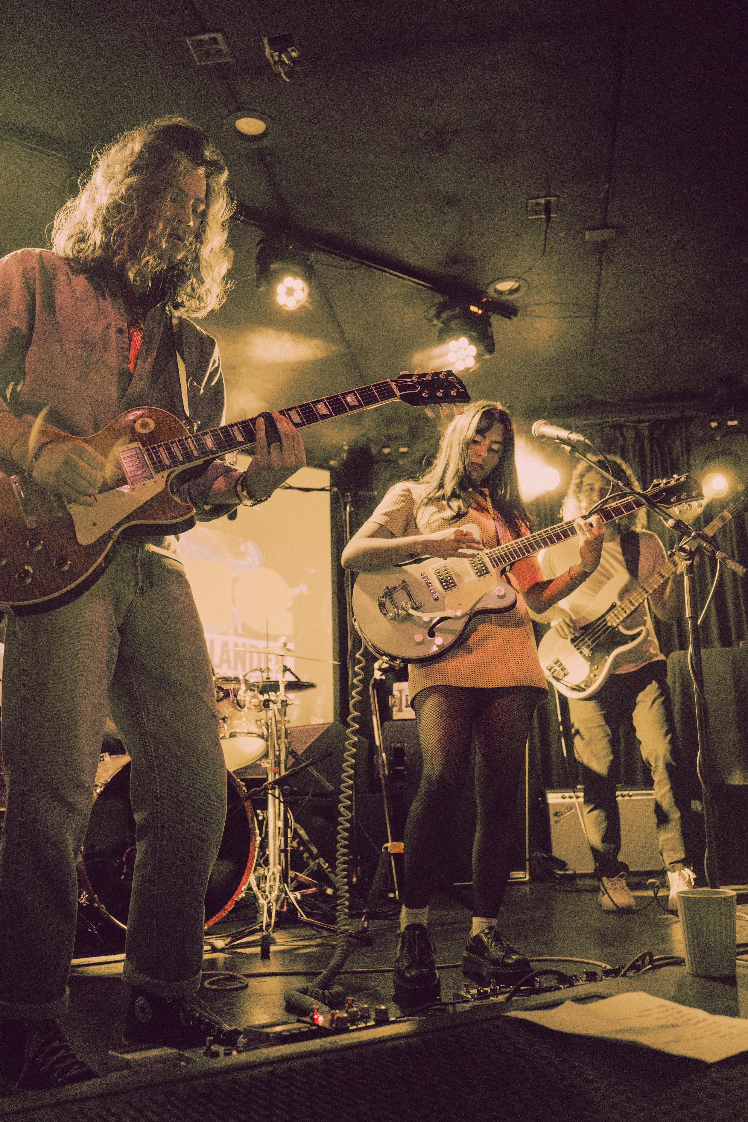 Vikanvelvets-chameleon25.jpg