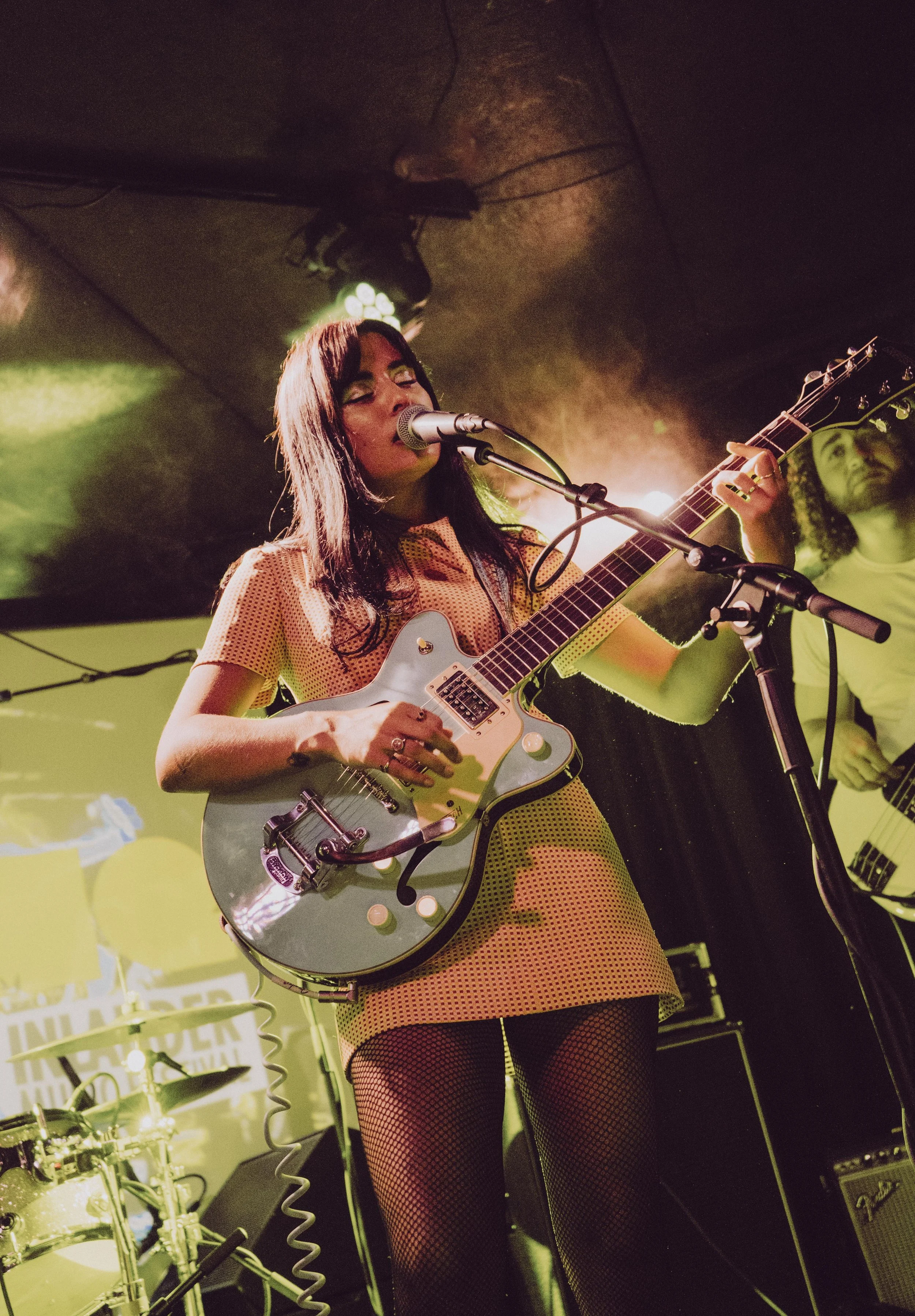 Vikanvelvets-chameleon18.jpg