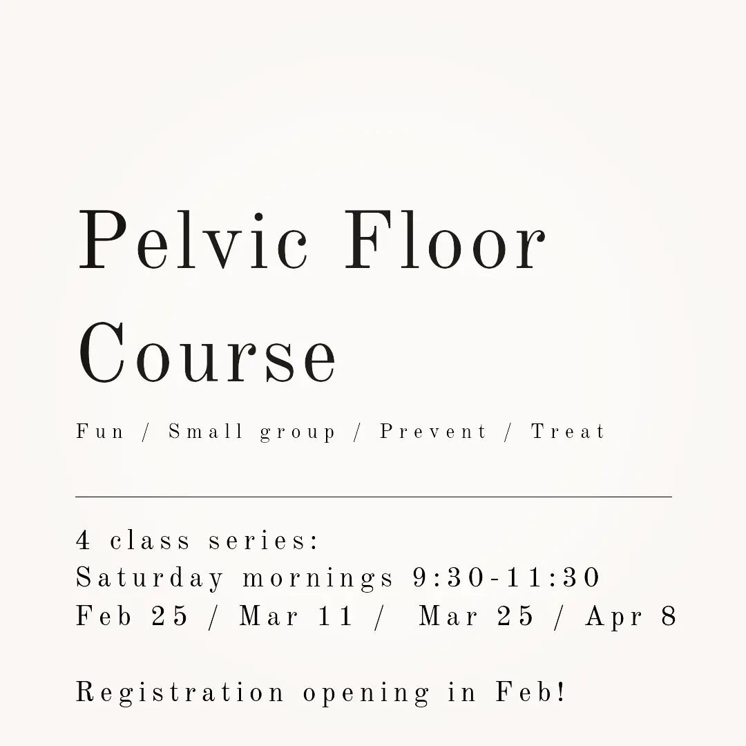 &deg; g a t h e r i n g &deg;

i have been wanting to teach in-person group classes for a long, long while and am happy to report that this pelvic floor series is ready to be released into the world! 🌍

we will meet four times over eight weeks. i wi