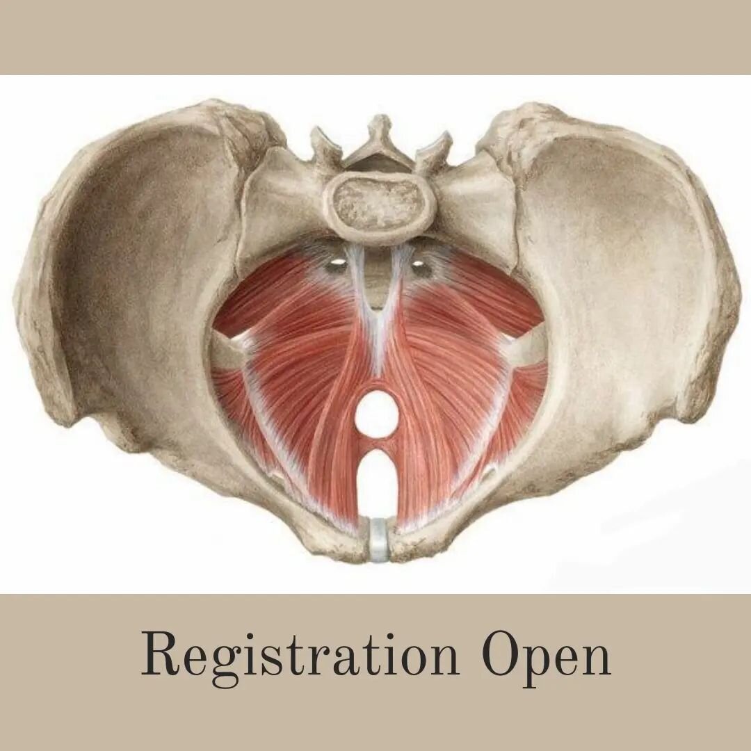 &deg; sign up time &deg;

8 spots are awaiting. 

$130 investment gets you:
4 x 2 hour classes over 8 weeks where we do a deep dive into restoring core strength and pelvic floor balance.

this course is going to be FUN. 

PLUS, you'll get to know you