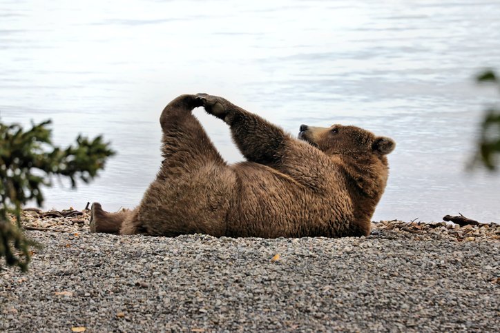 5 Things Yoga Can’t Do for You.