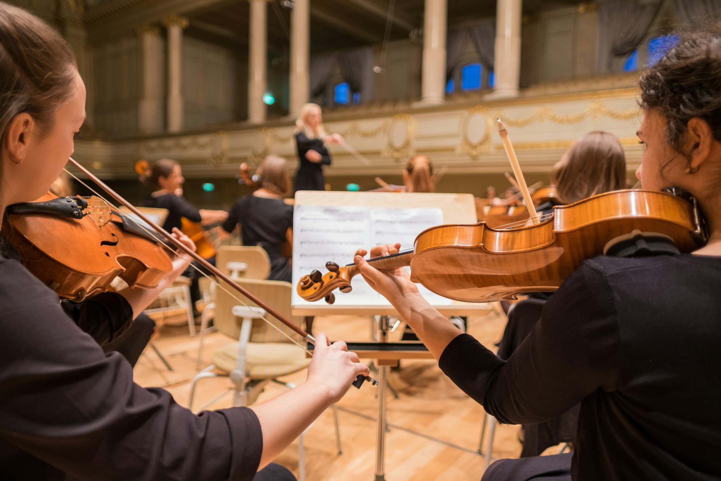 Musicians playing violins in an orchestra during a performance in a concert hall.