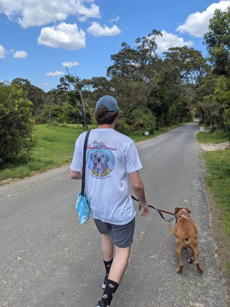 Supporter walking a dog while wearing the printed tee