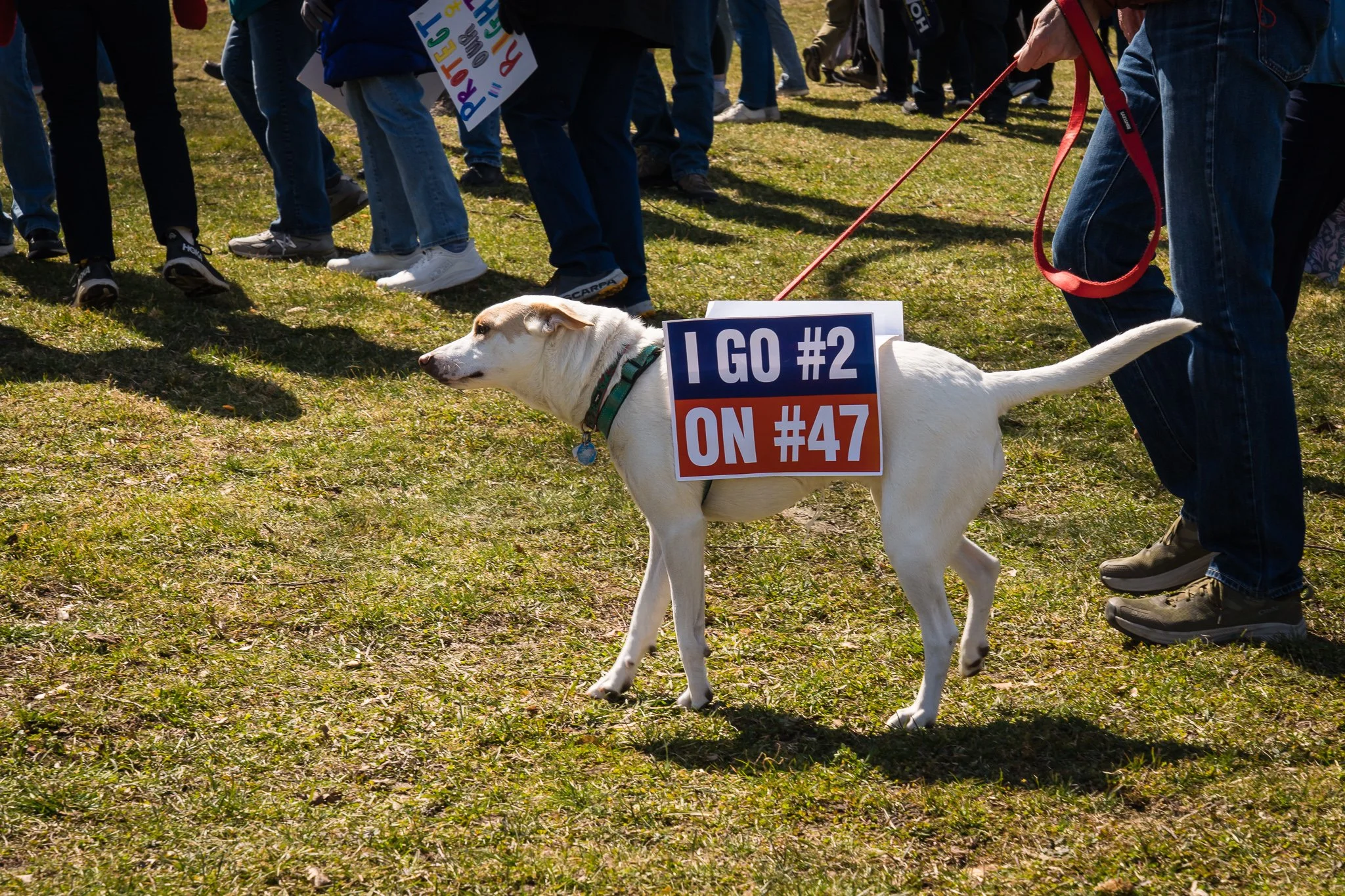 20260328-No Kings Milwaukee Protest-88-EDIT-WEB.jpg