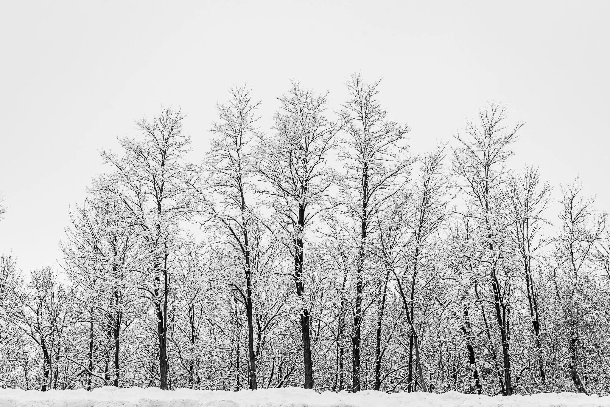 20200126-Winter in Hubertus WI-0015-EDIT-WEB.jpg