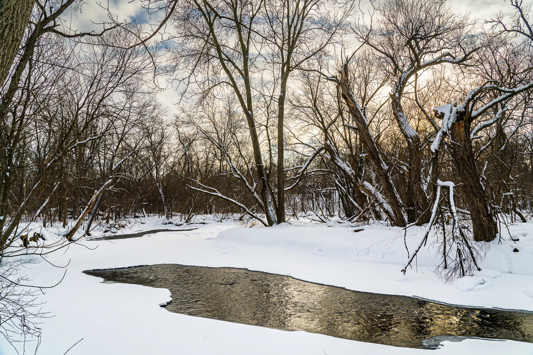 20210213-Menomonee River Pkwy-0007-EDIT-WEB.jpg
