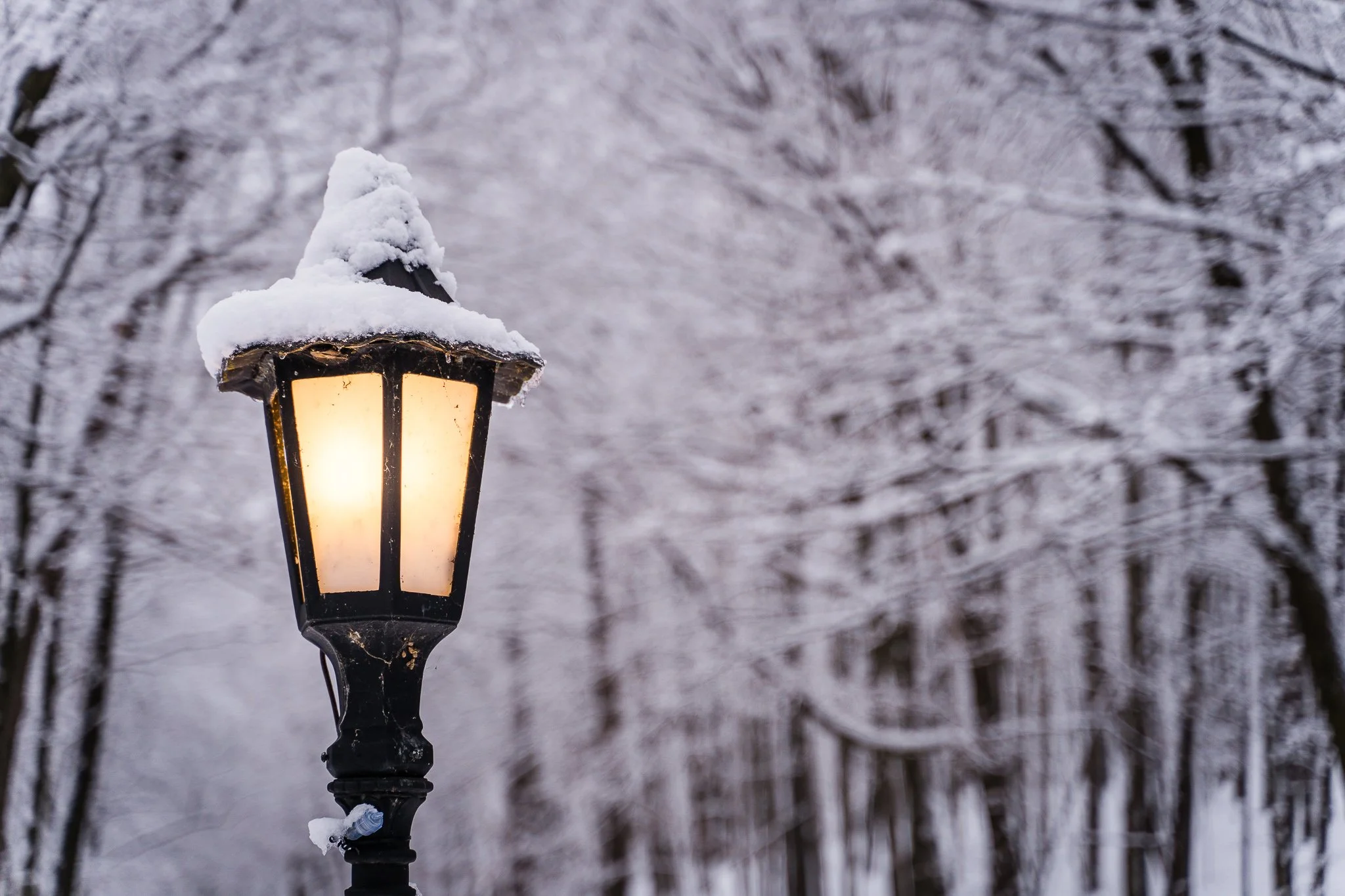 20200126-Winter in Hubertus WI-0026-EDIT-WEB.jpg