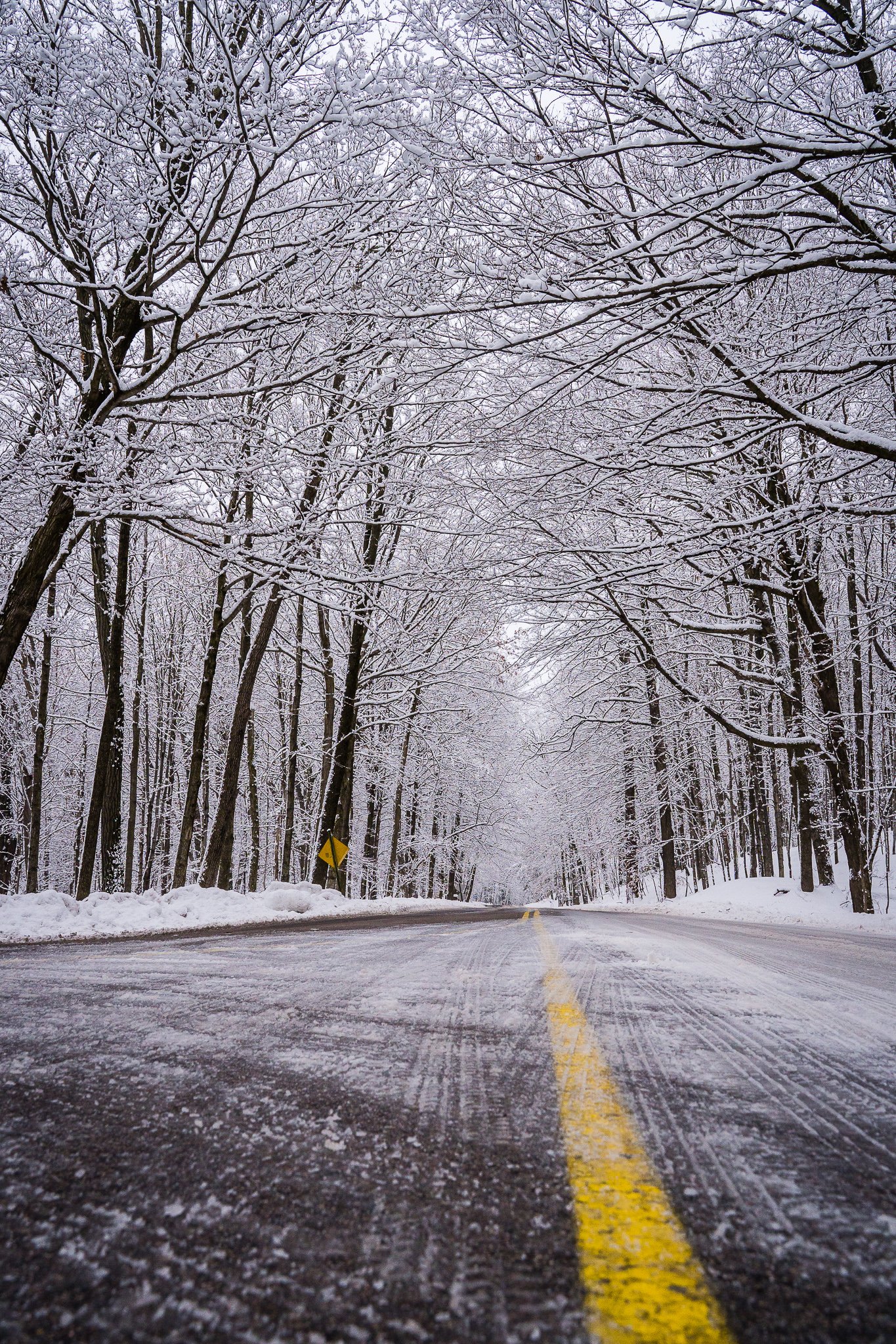 20200126-Winter in Hubertus WI-0027-EDIT-WEB.jpg