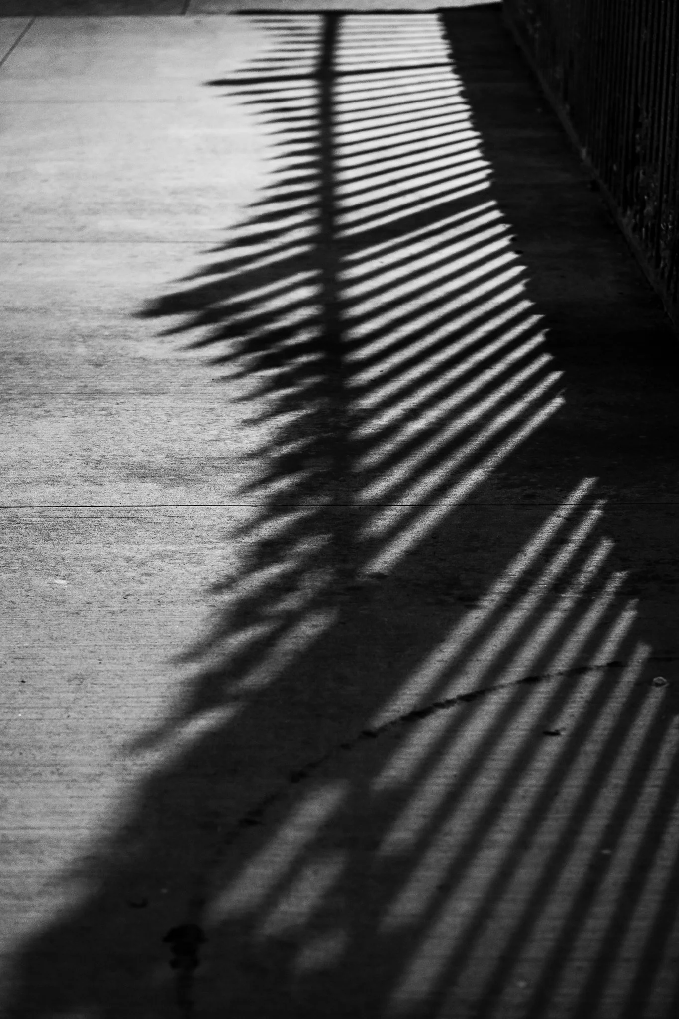 20231210-Urban Milwaukee-520-EDIT-WEB.jpg