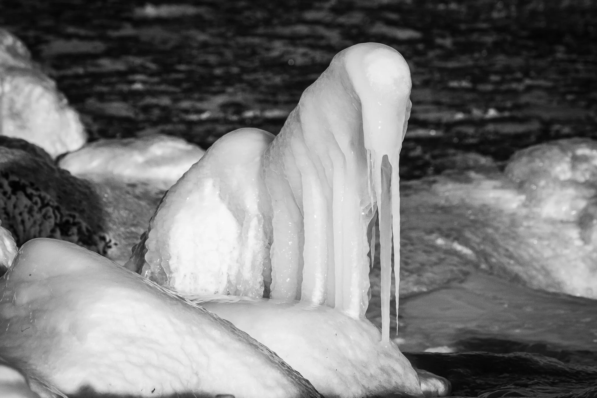 20210220-Milwaukee Lakefront Winter-0022-EDIT-WEB.jpg