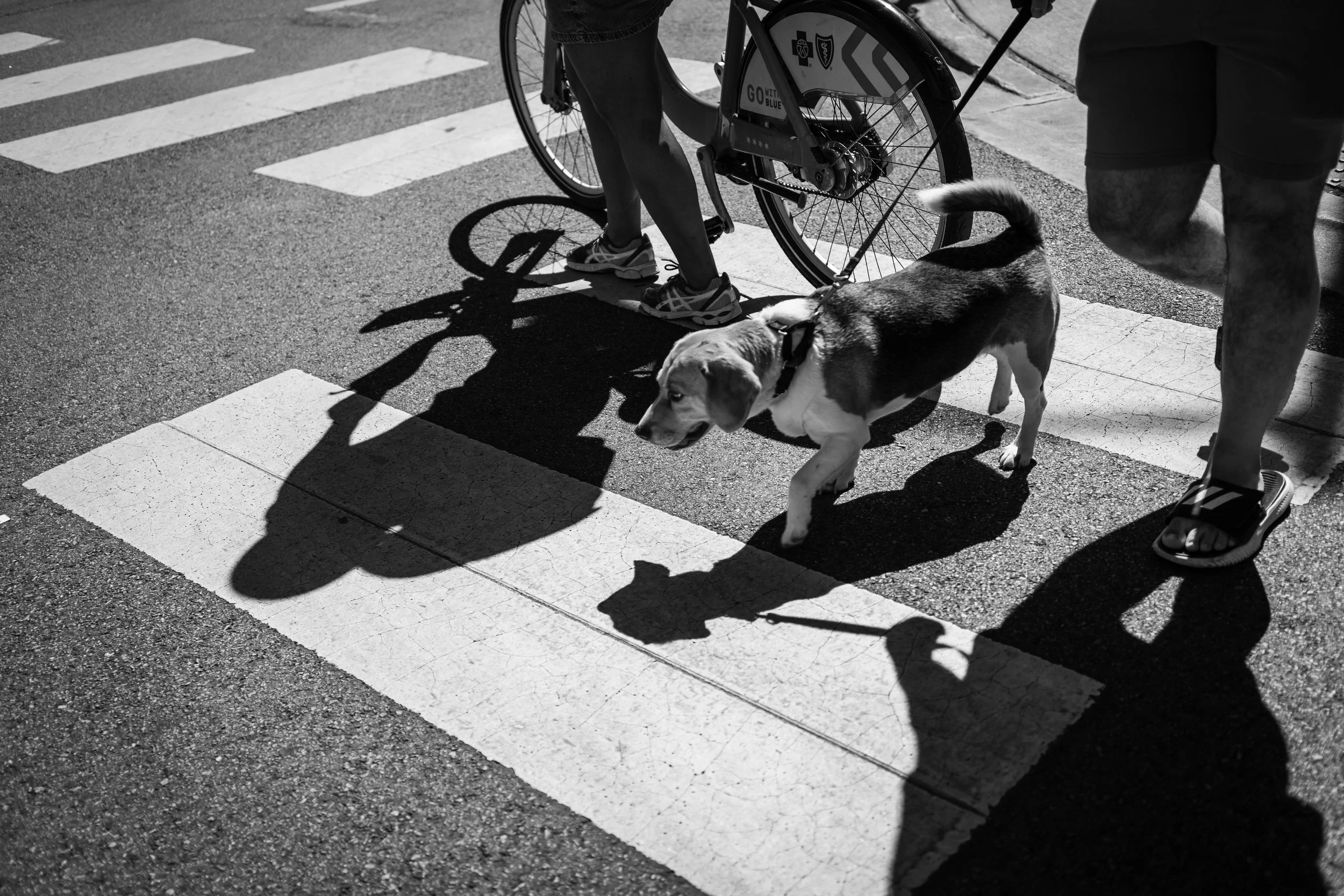 2024 URBAN JOURNAL 133 20240525-Urban Chicago-78-EDIT.jpg