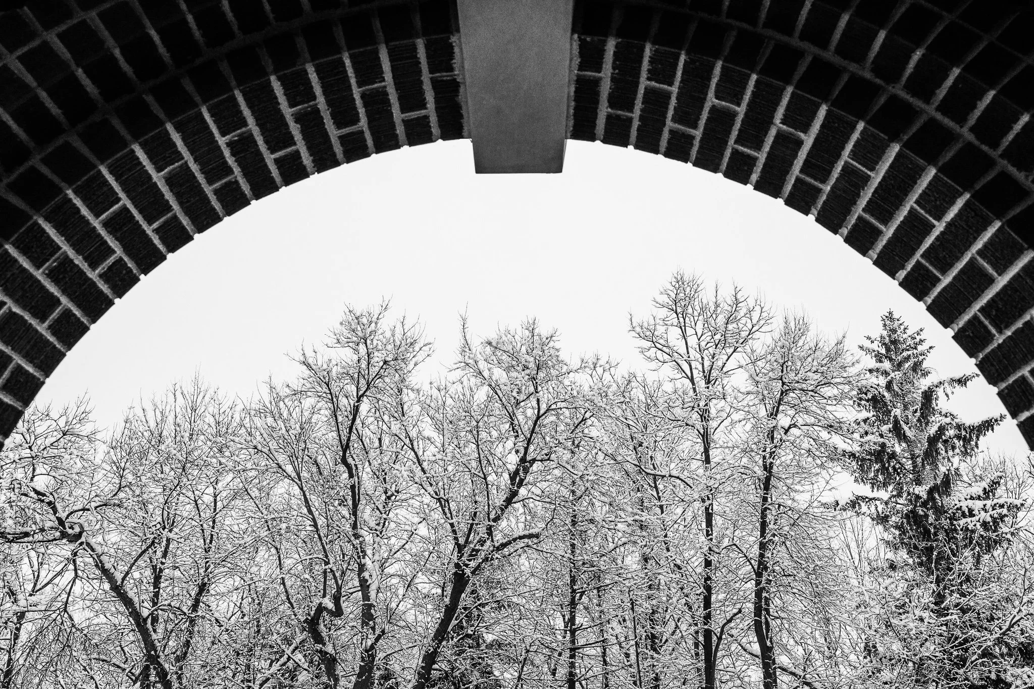 20200126-Winter in Hubertus WI-0019-EDIT-WEB.jpg