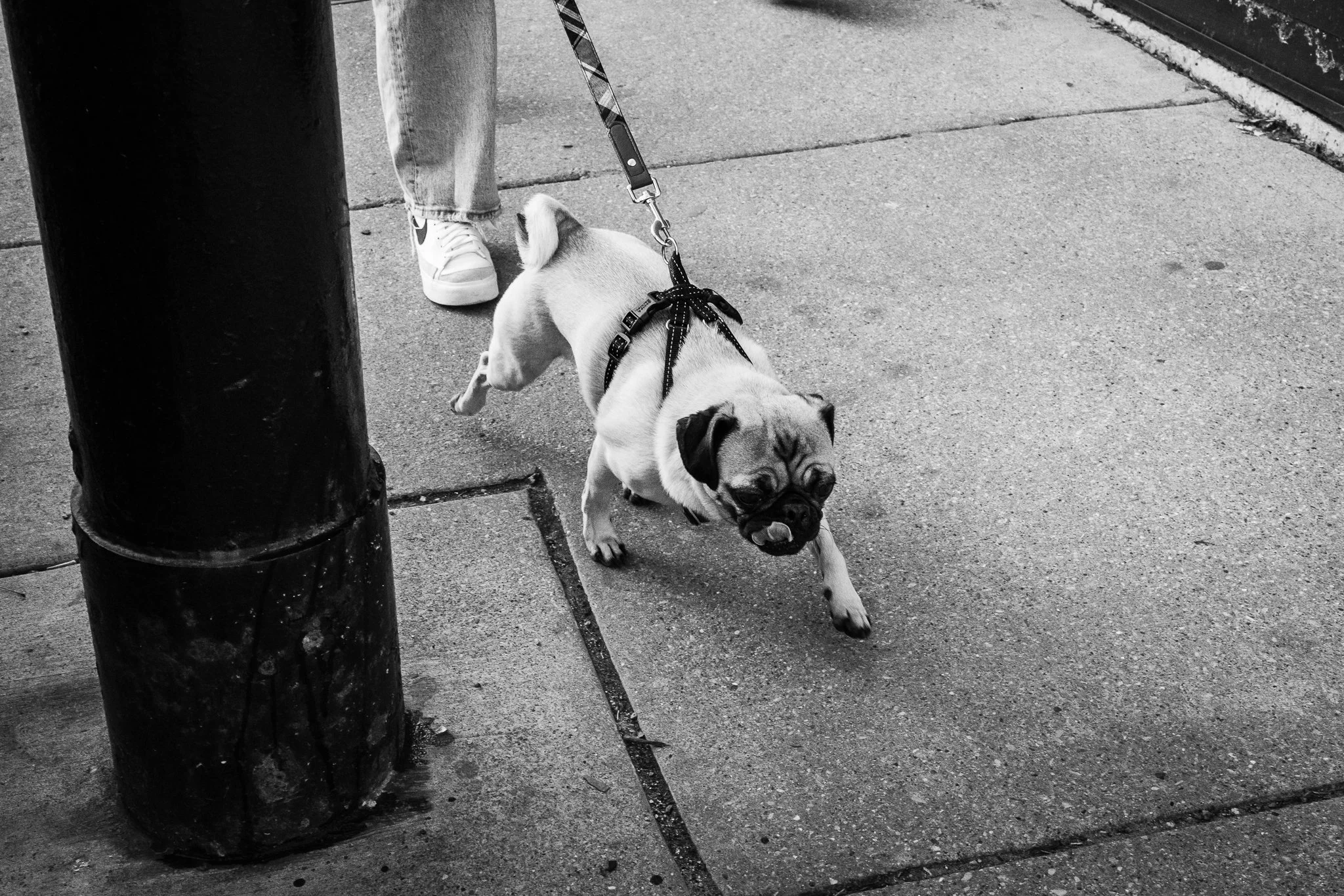 20230211-Urban Chicago-2-EDIT-WEB.jpg