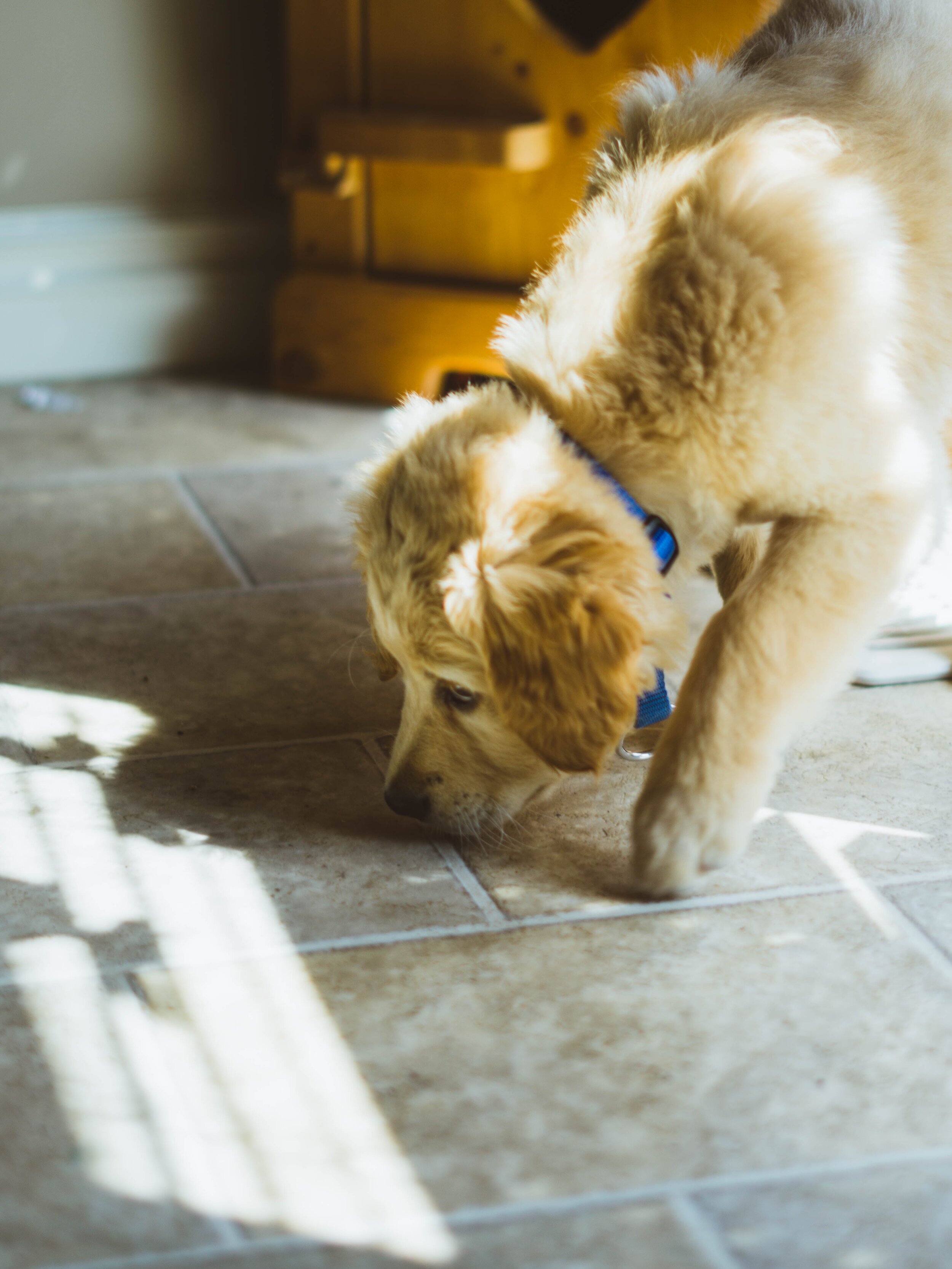 oy-boy-qV_ZEdIzLo0-unsplash.jpg