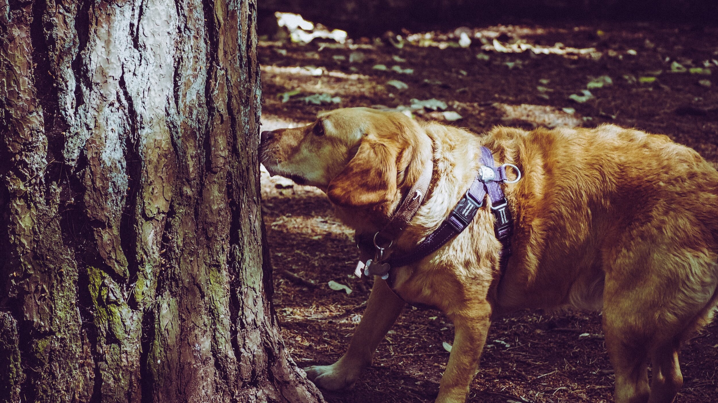 jack-hunter-fmuyrvUb7zY-unsplash.jpg