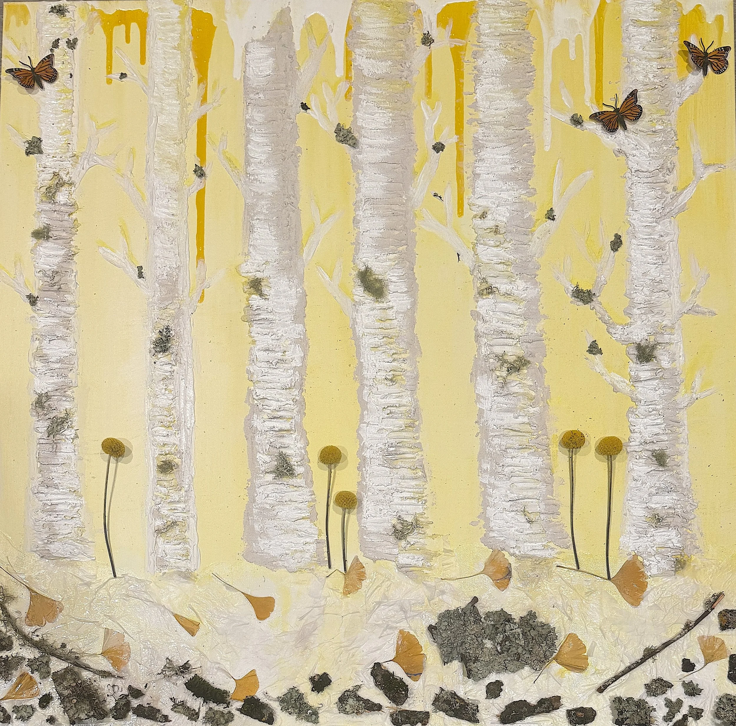 Birch Bliss