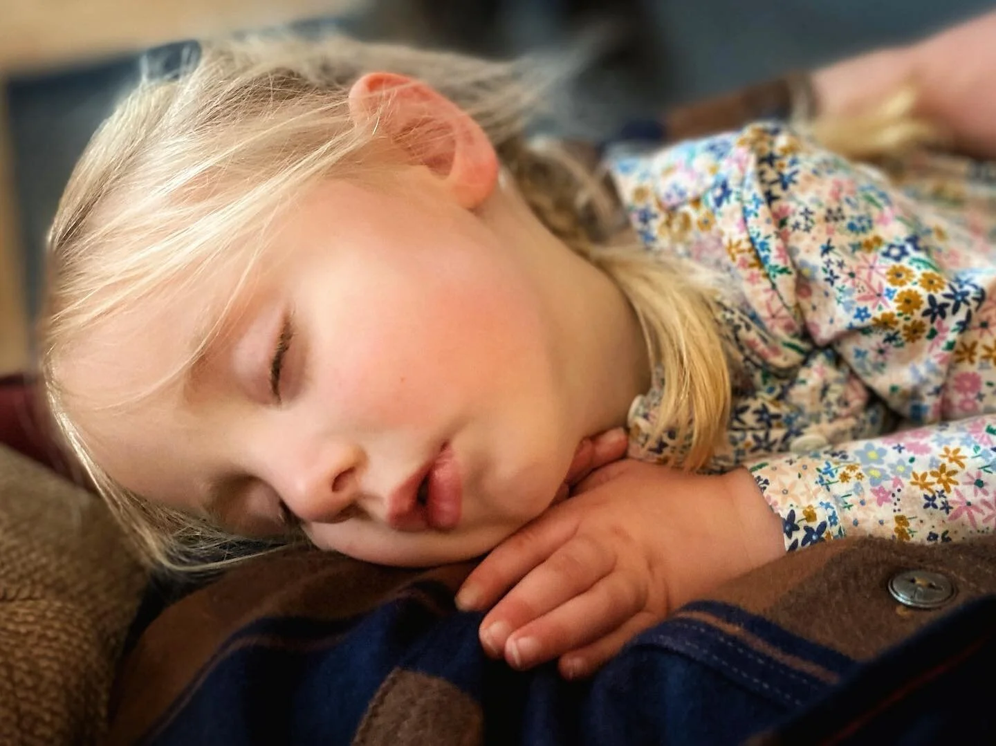 It’s not often that sweet little Maeve curls up in my arm for a nap, but all is quiet, snowflakes are falling, and I’ll enjoy it while it lasts.