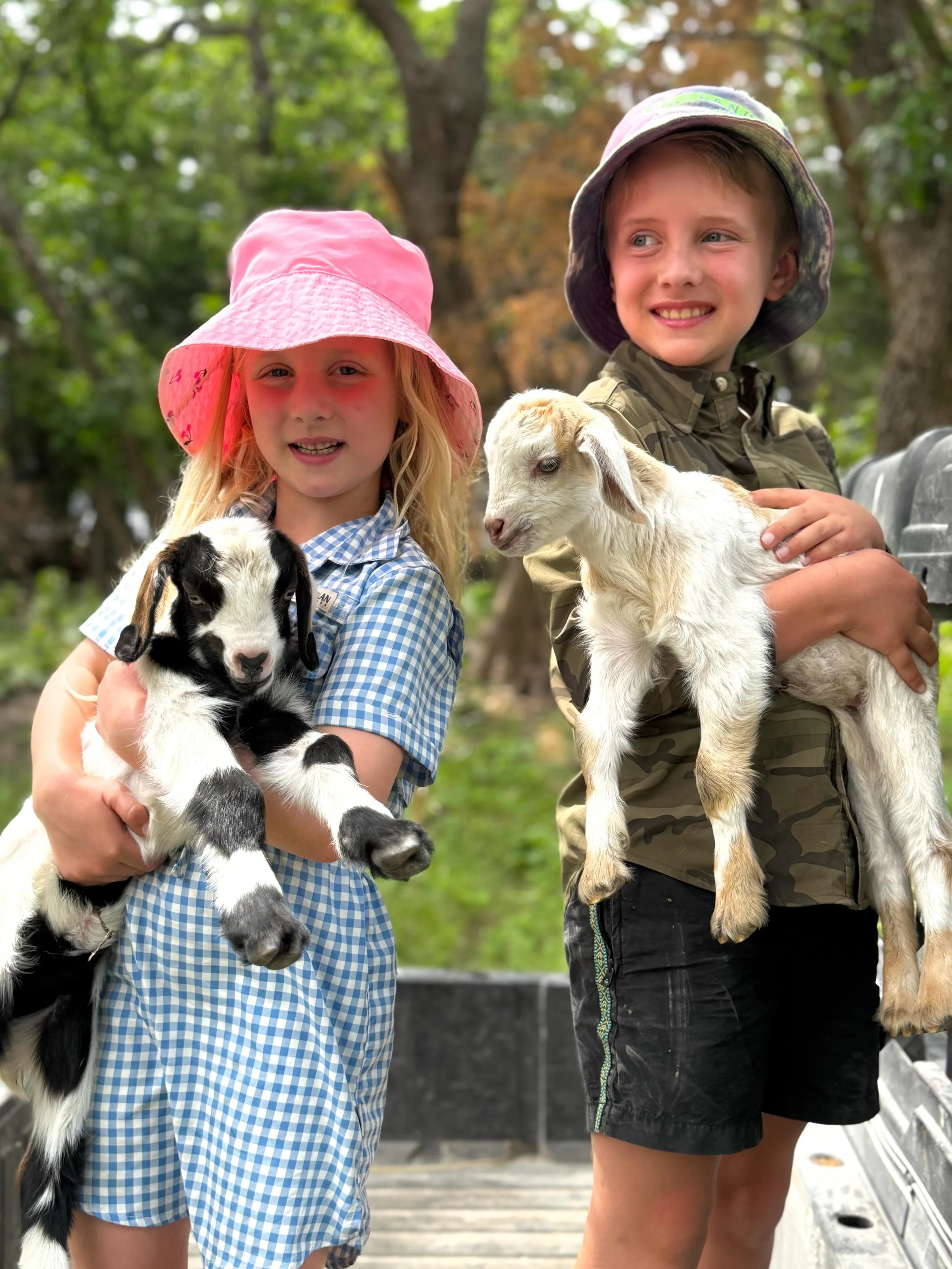 When we pulled out of Pat&rsquo;s place, Maeve said, &ldquo;Daddy, I don&rsquo;t want to hurt your feelings, but Pat&rsquo;s farm is more fun than ours because he has baby goats.&rdquo; Can&rsquo;t argue with that!

#kansaslife @pjs_pretties
