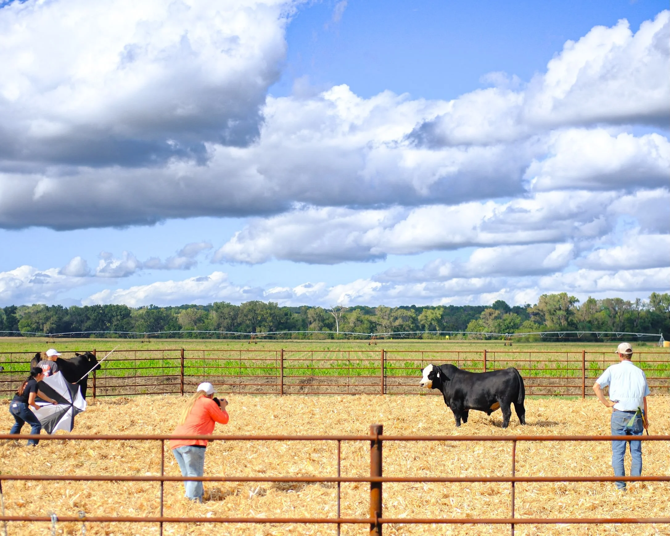 Picture day at @rivercreekfarms 

#kansaslife #flinthills