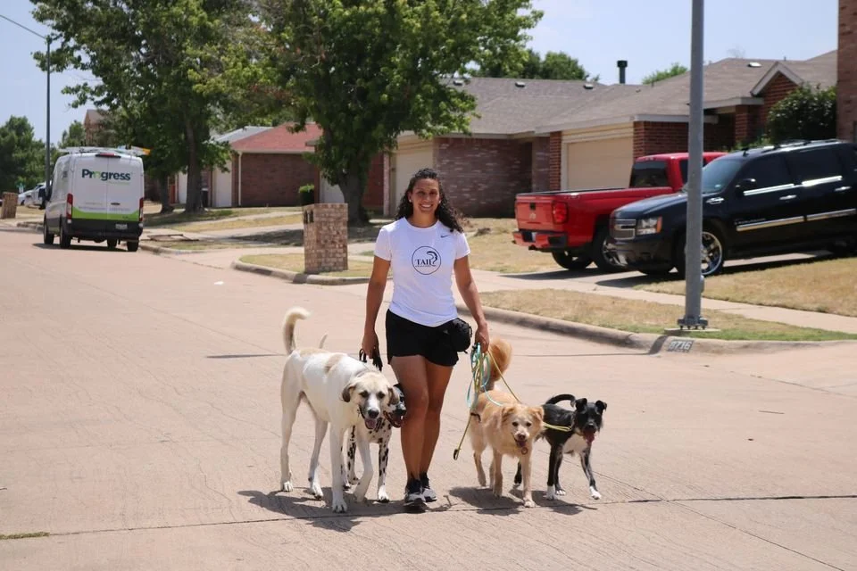 Unlocking the Potential: Why Your Dog Deserves a High-Value Structured Doggie Daycare Membership