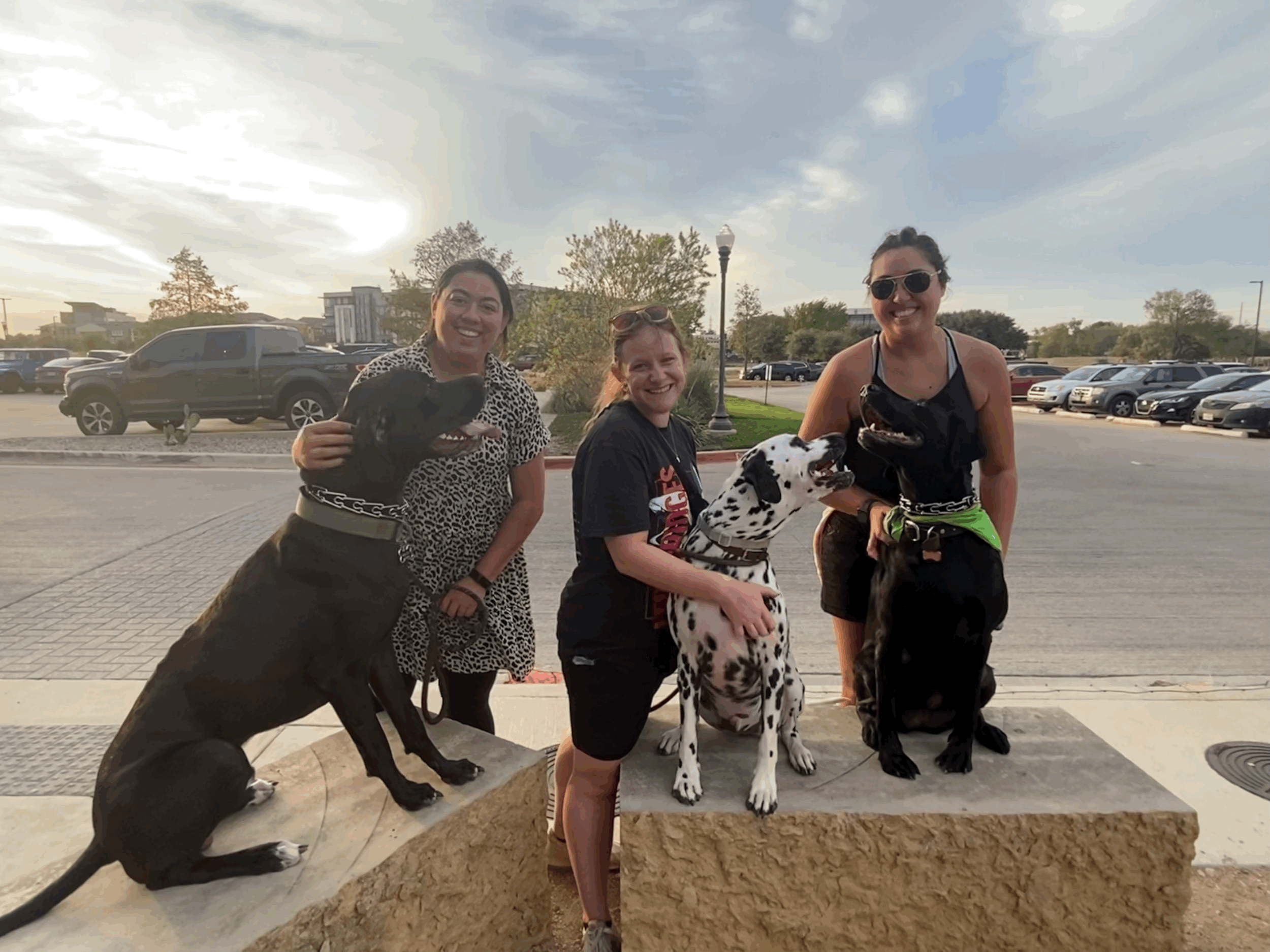 Building a Strong Bond with Your Dog: Beyond Affection