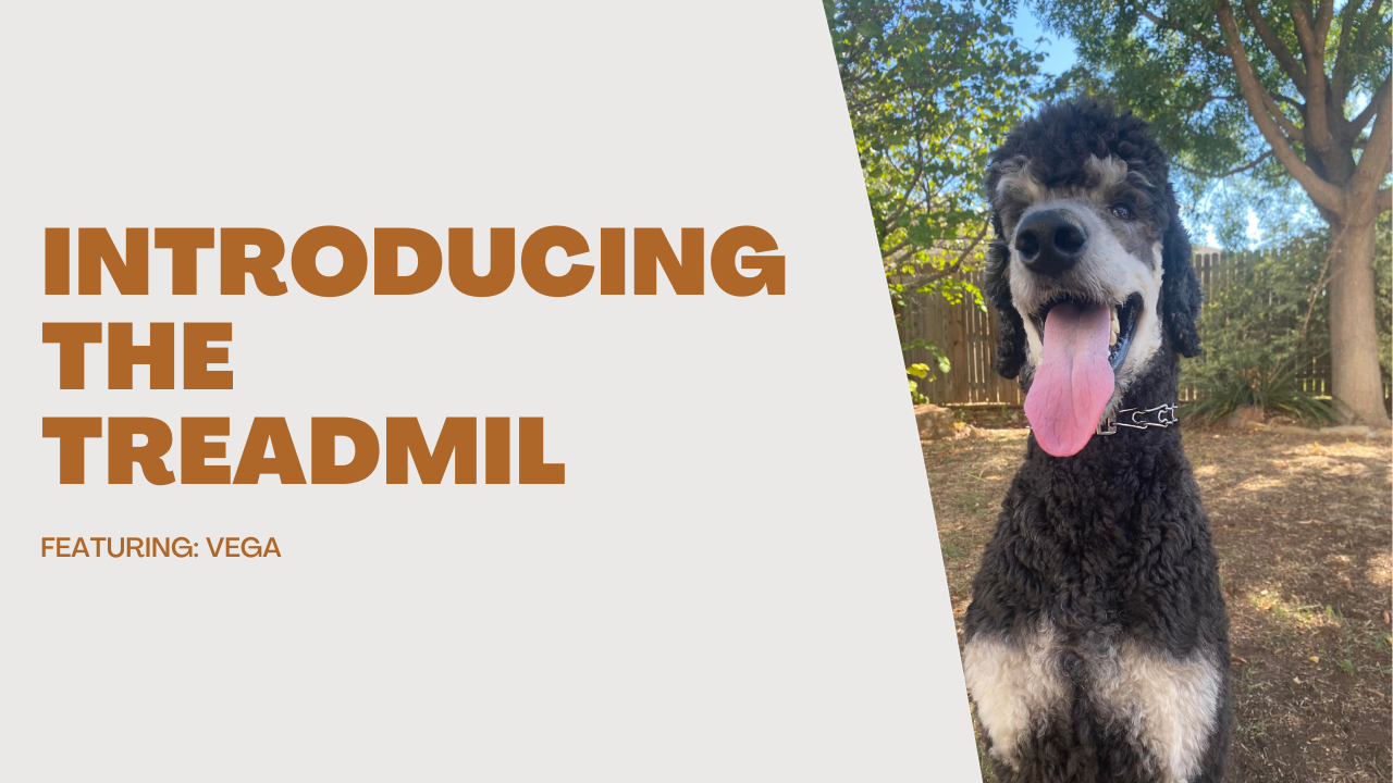 Introducing the treadmill