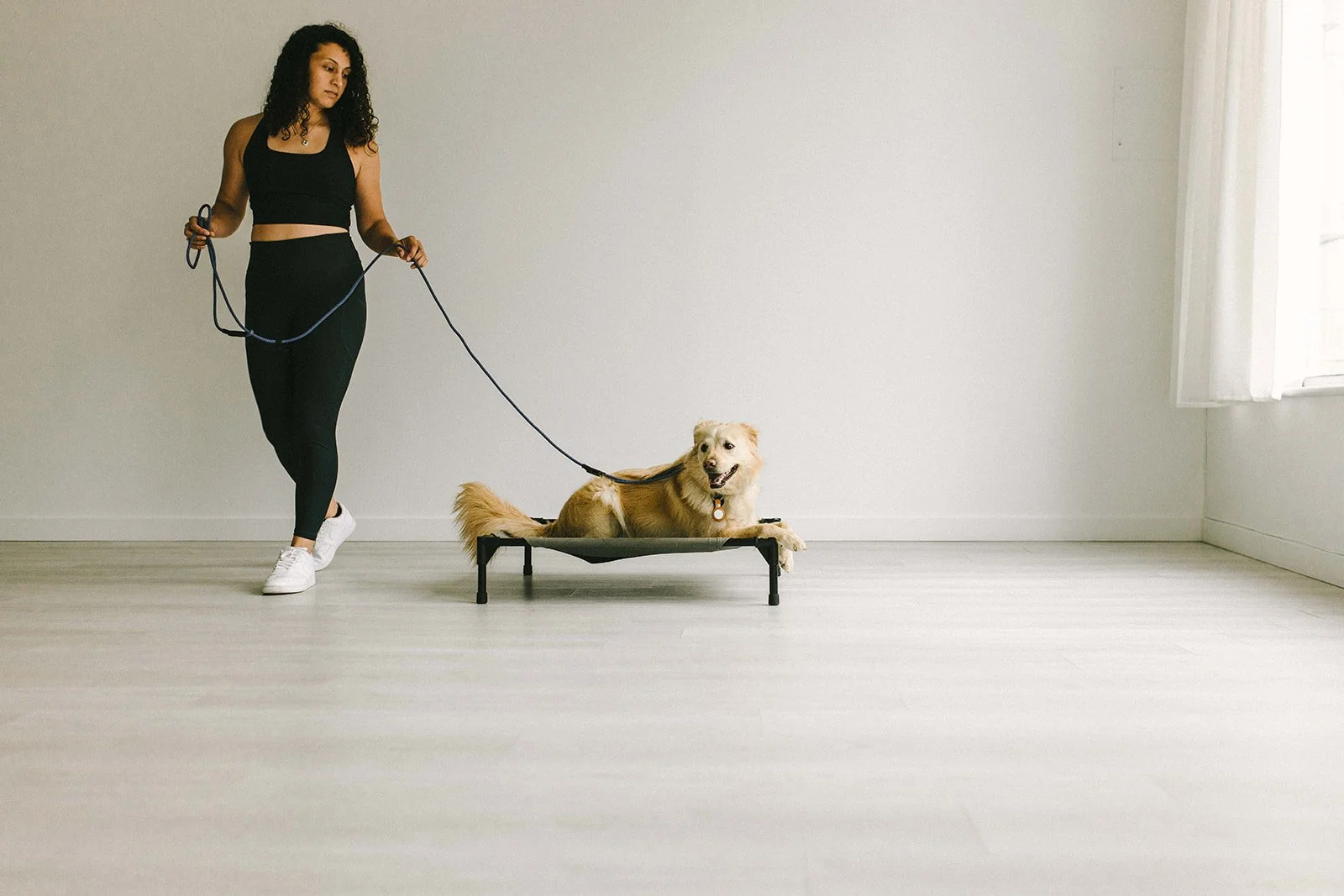 Understanding Your Dog’s Body Language: Why It’s Crucial Before Invading Their Space