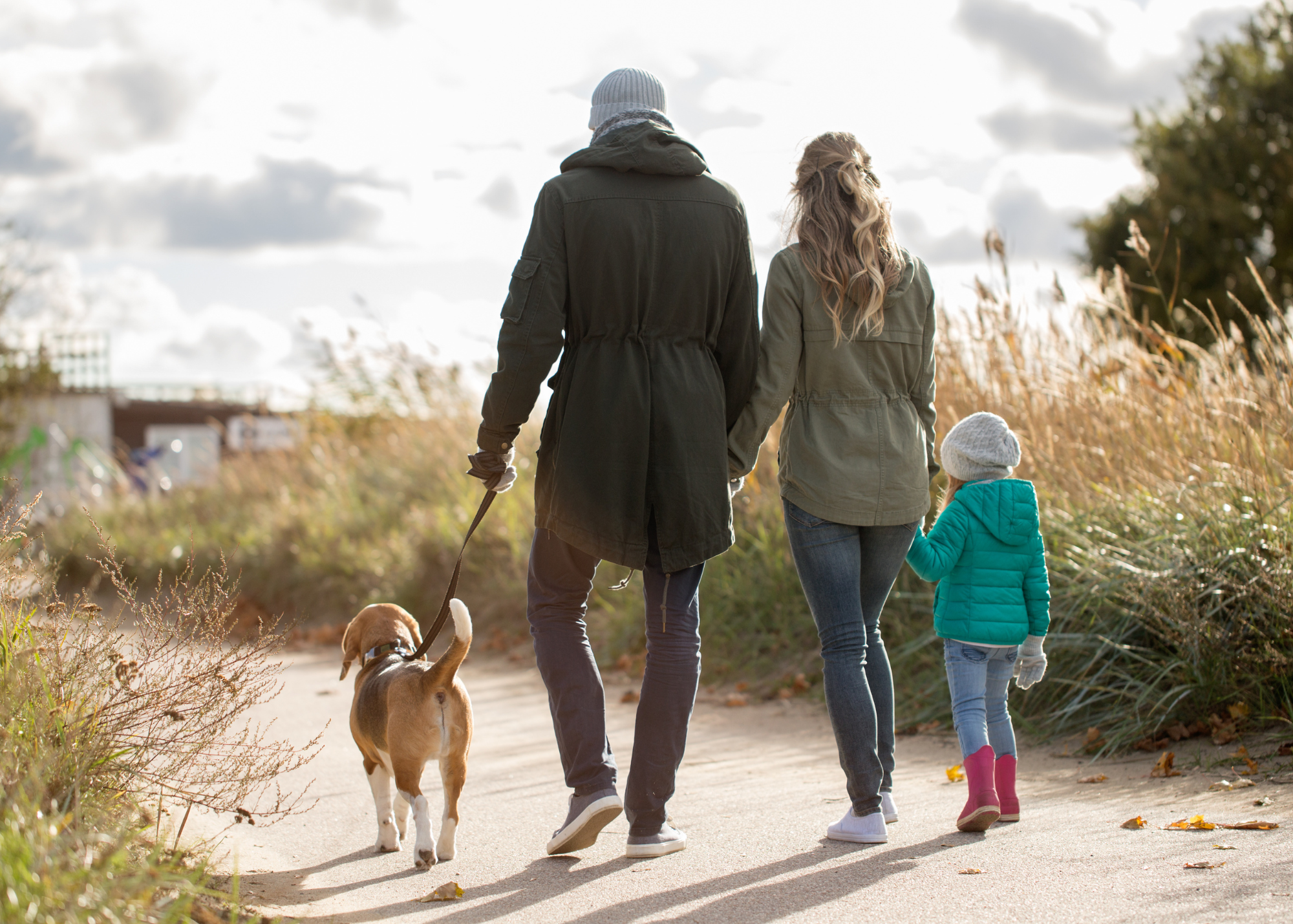 Getting Your Kids a Dog: Why Parents Need to Take the Lead in Care
