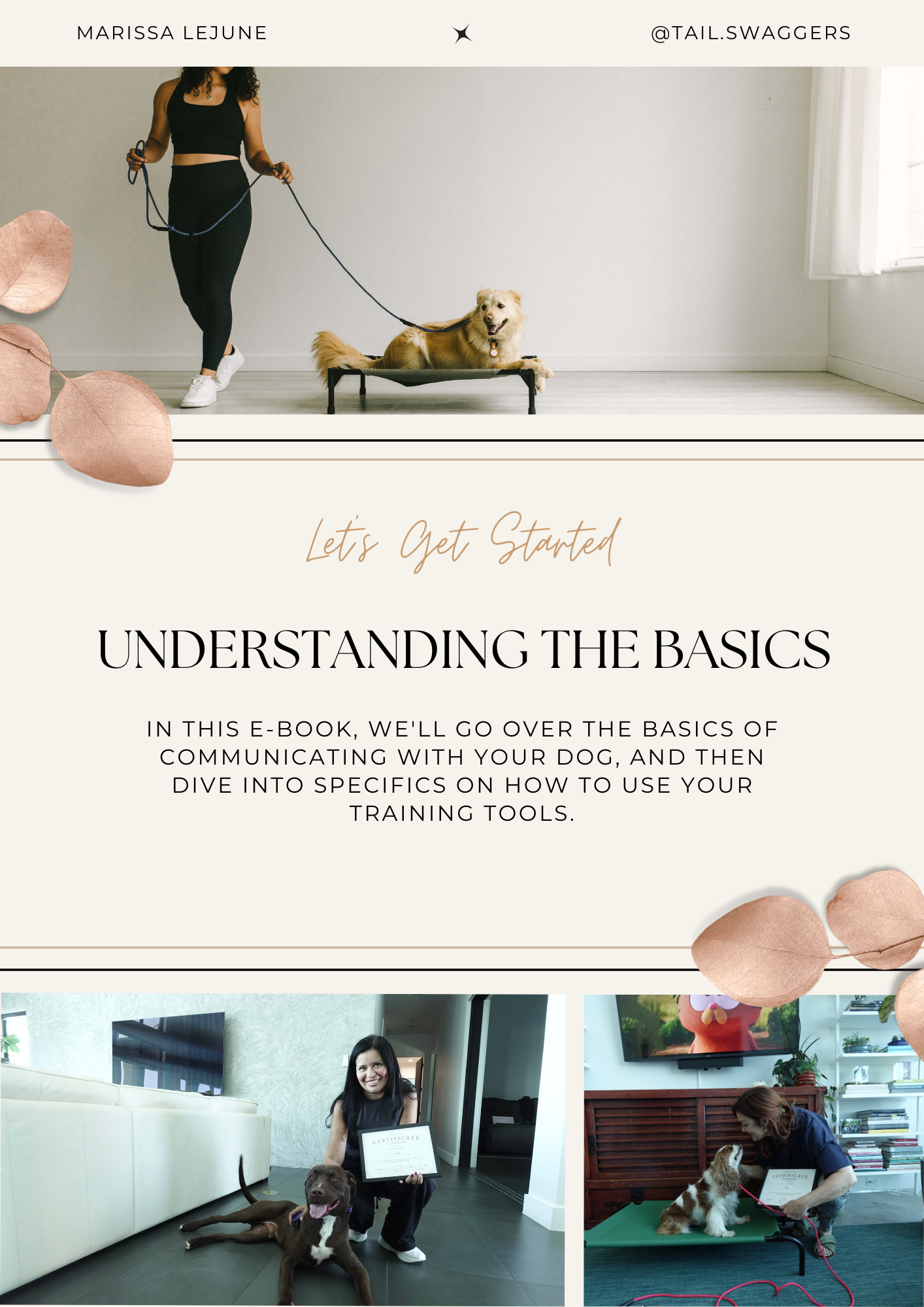Understanding the Basics eBook