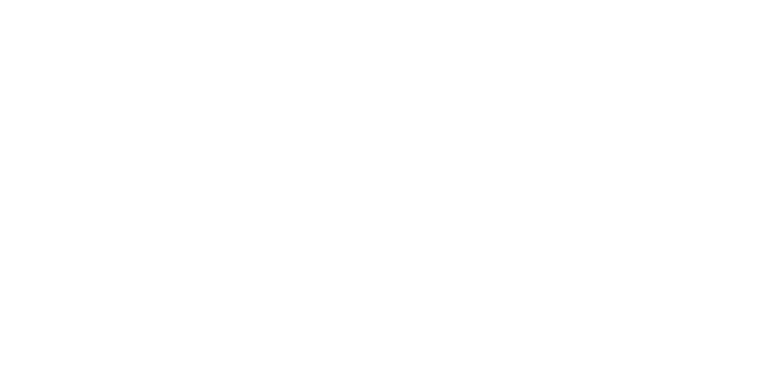 Shapiro Dispute Resolution LLC 