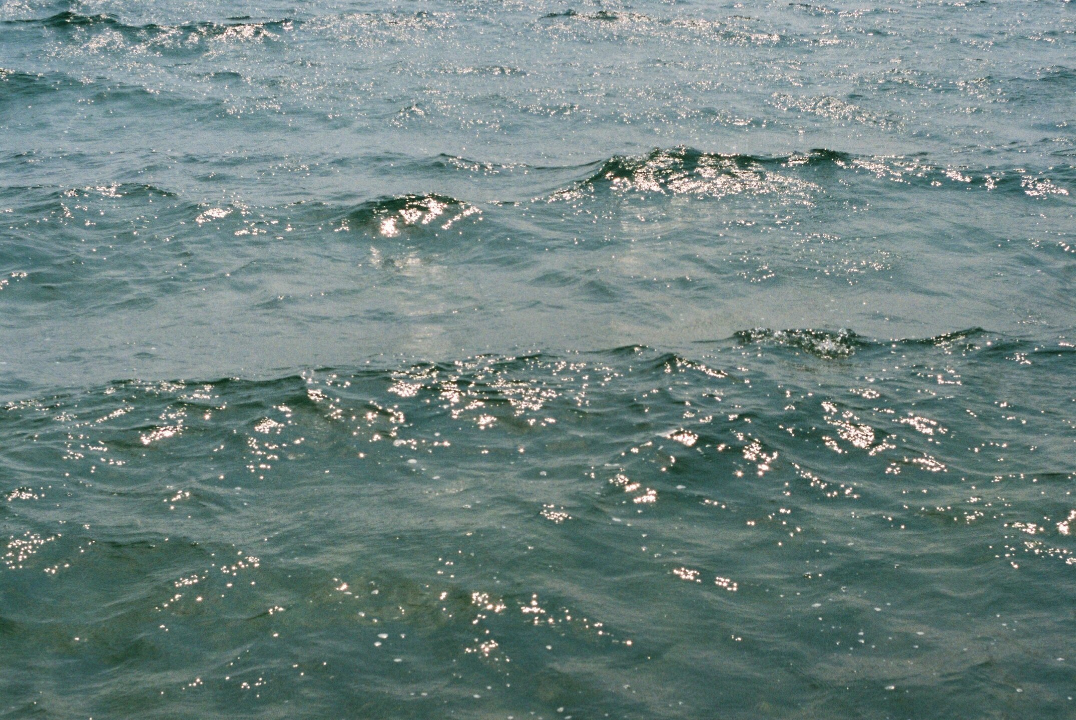 SEA 15