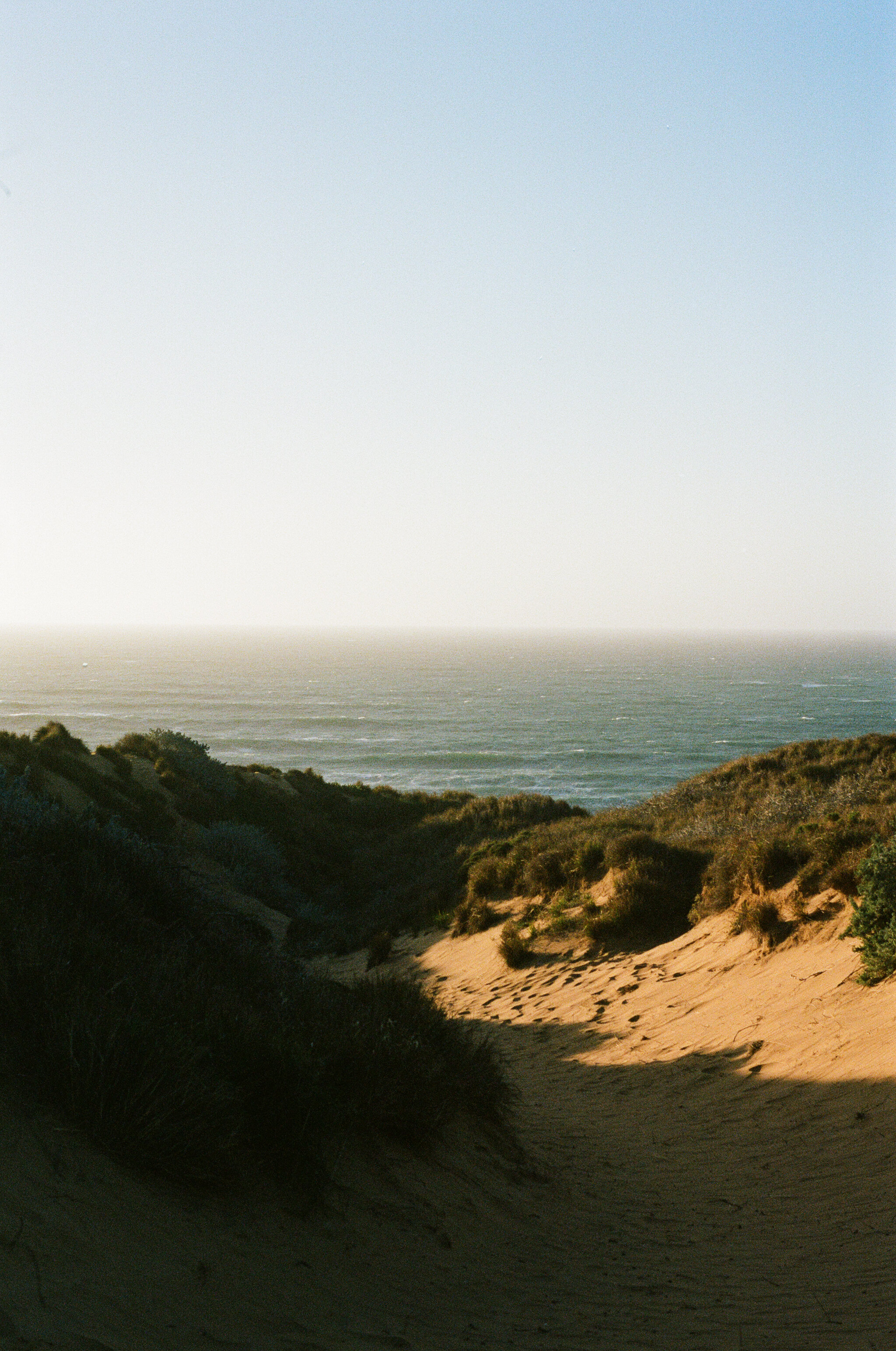 SEA 09