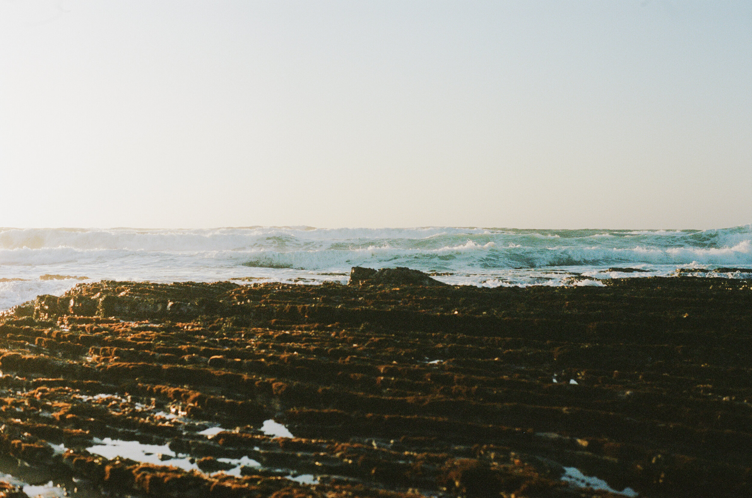 SEA 08