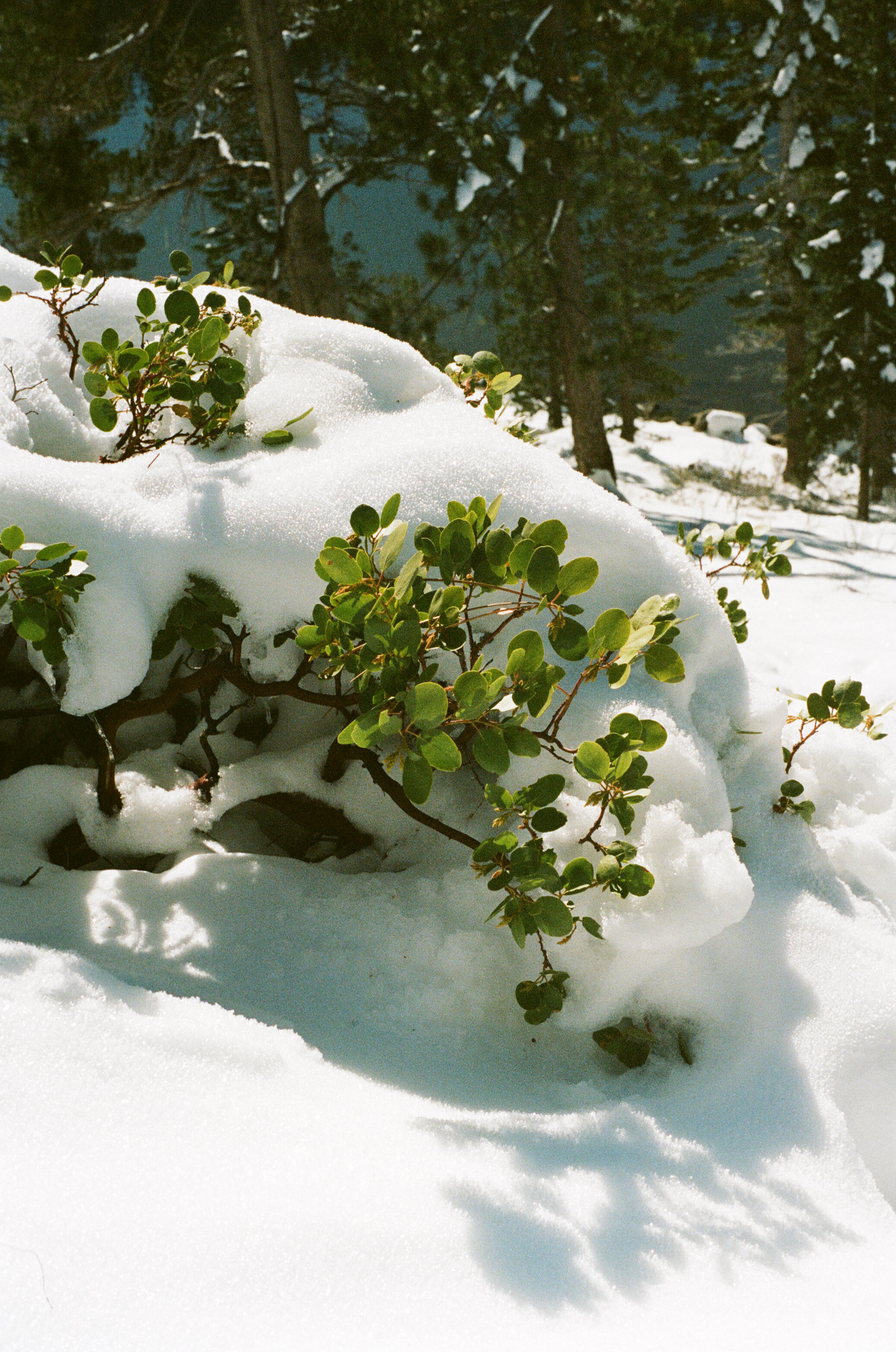WINTER 01