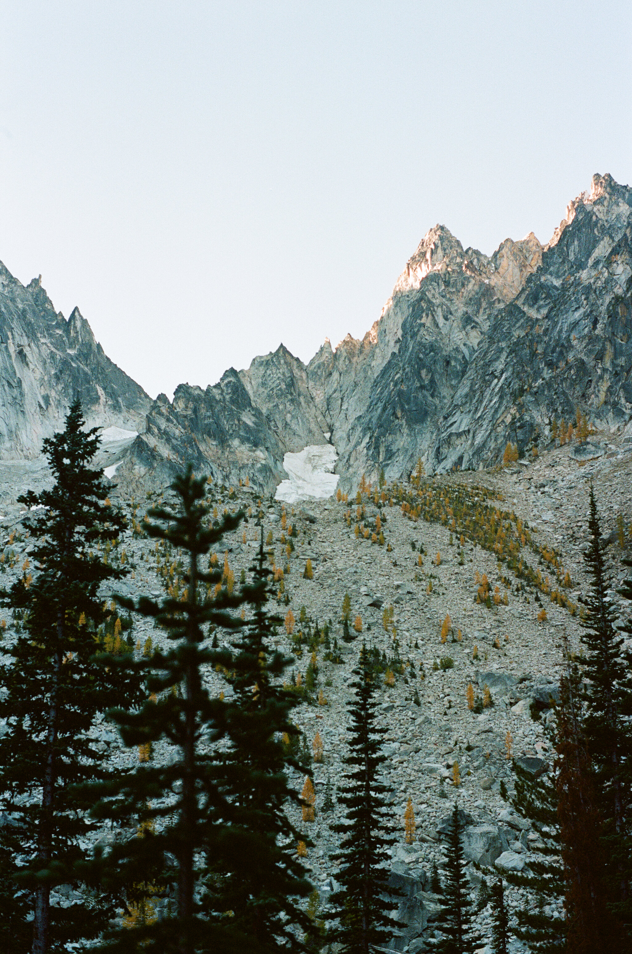 ALPINE 06
