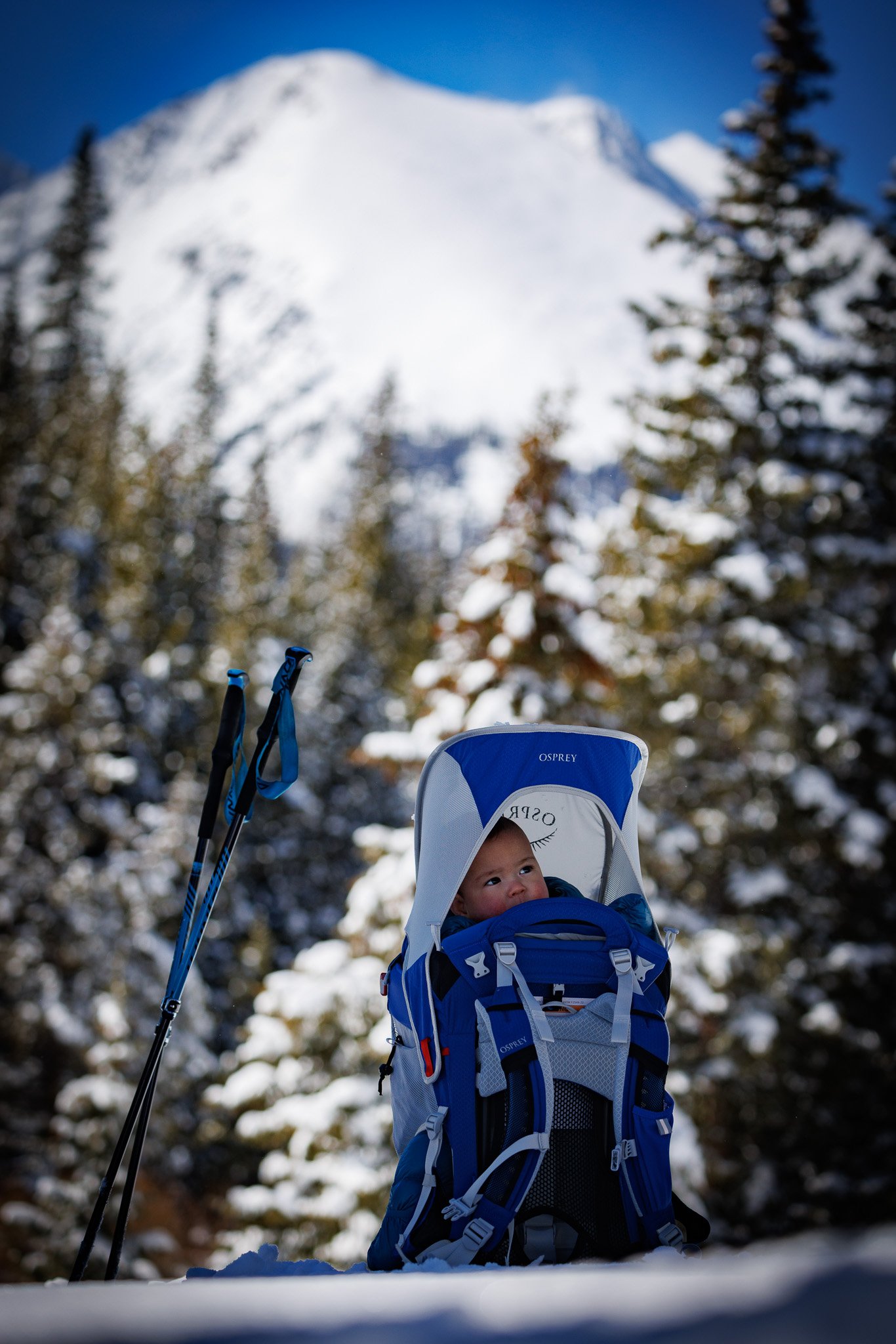 Ski tour, Pennsylvania Creek. 7 months old.