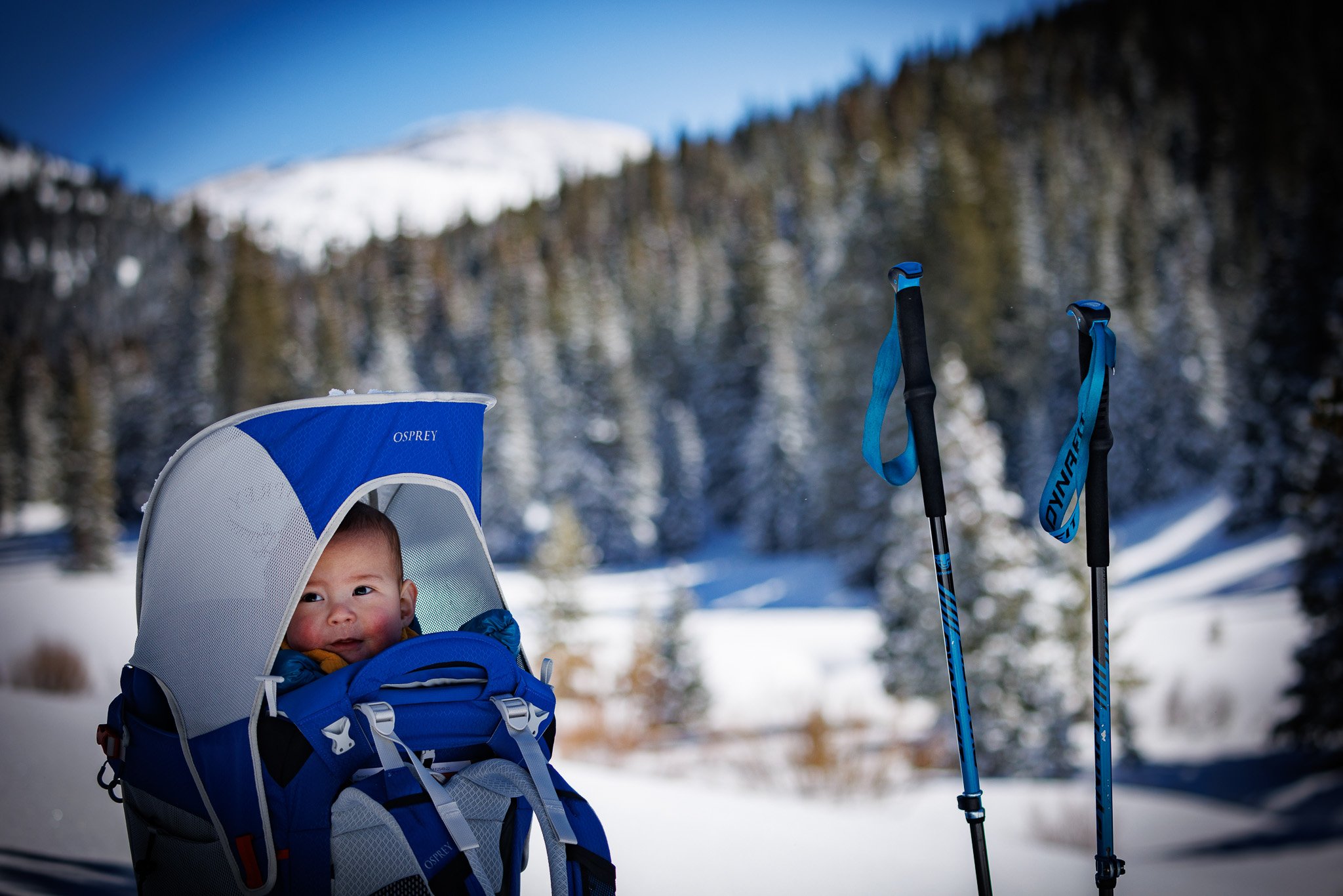 Ski tour, Pennsylvania Creek. 7 months old.