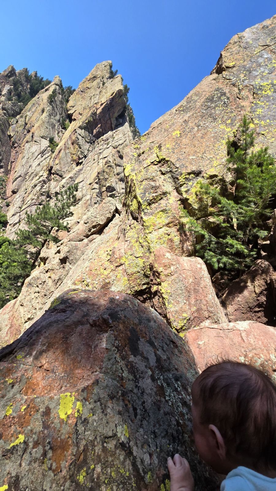 First free solo in Eldo. 2 months old.