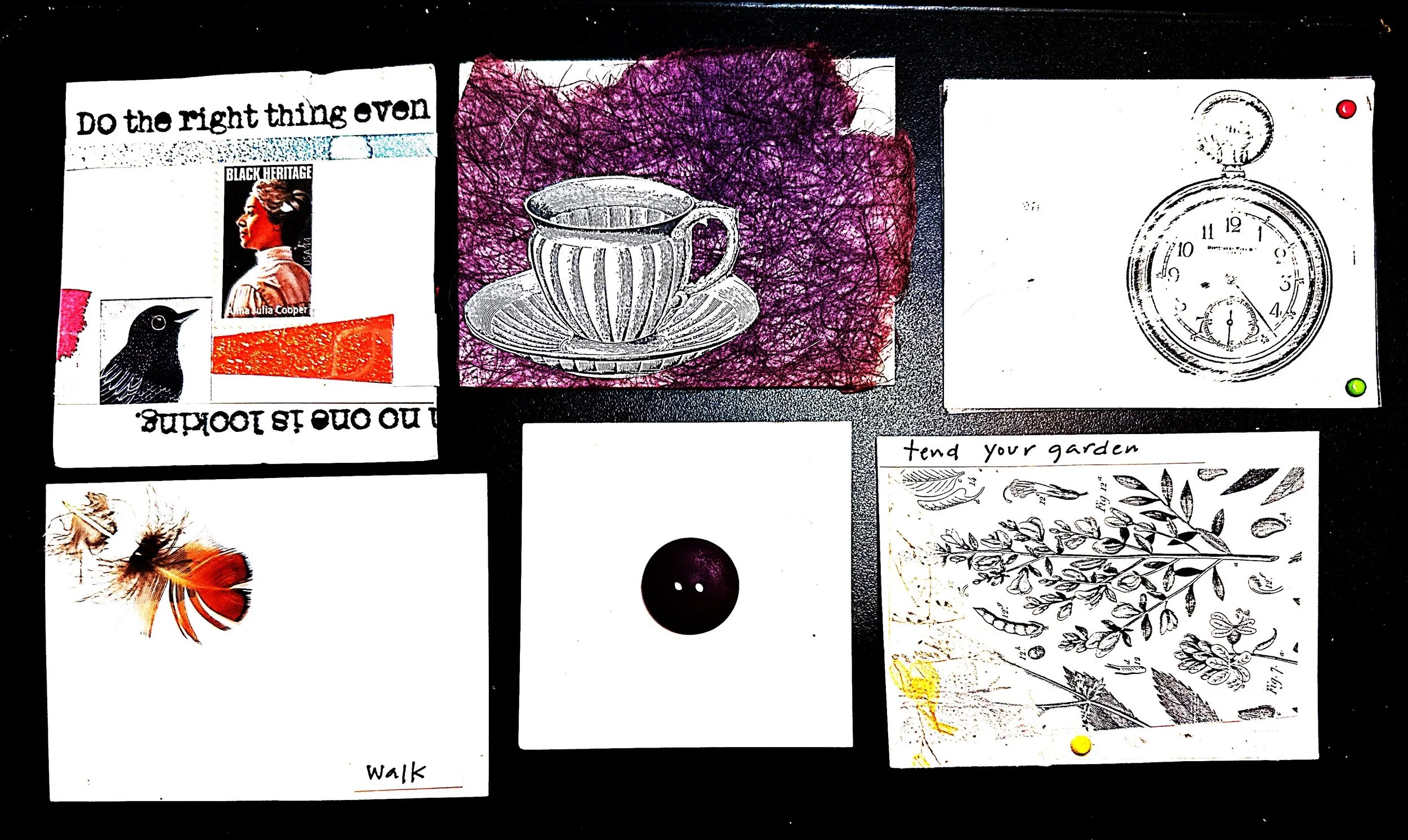 Well being deck IMG_6597.JPG