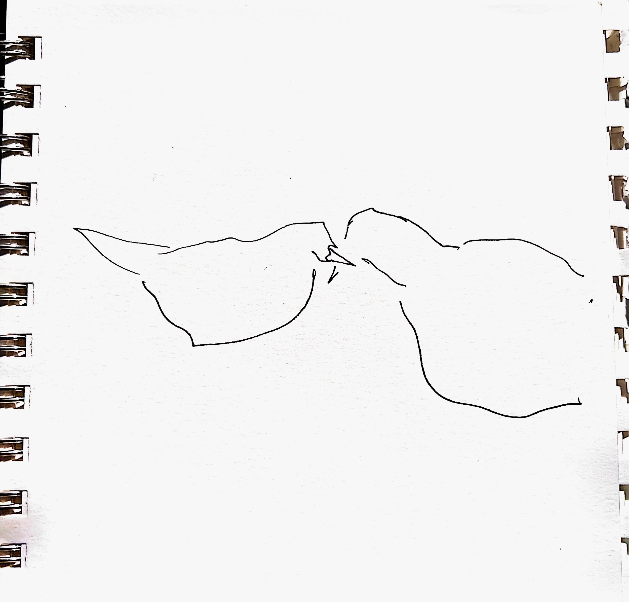 2023 11 04 rough around the edges and still together 2023-11-16 22.07.54_1 (3).jpg