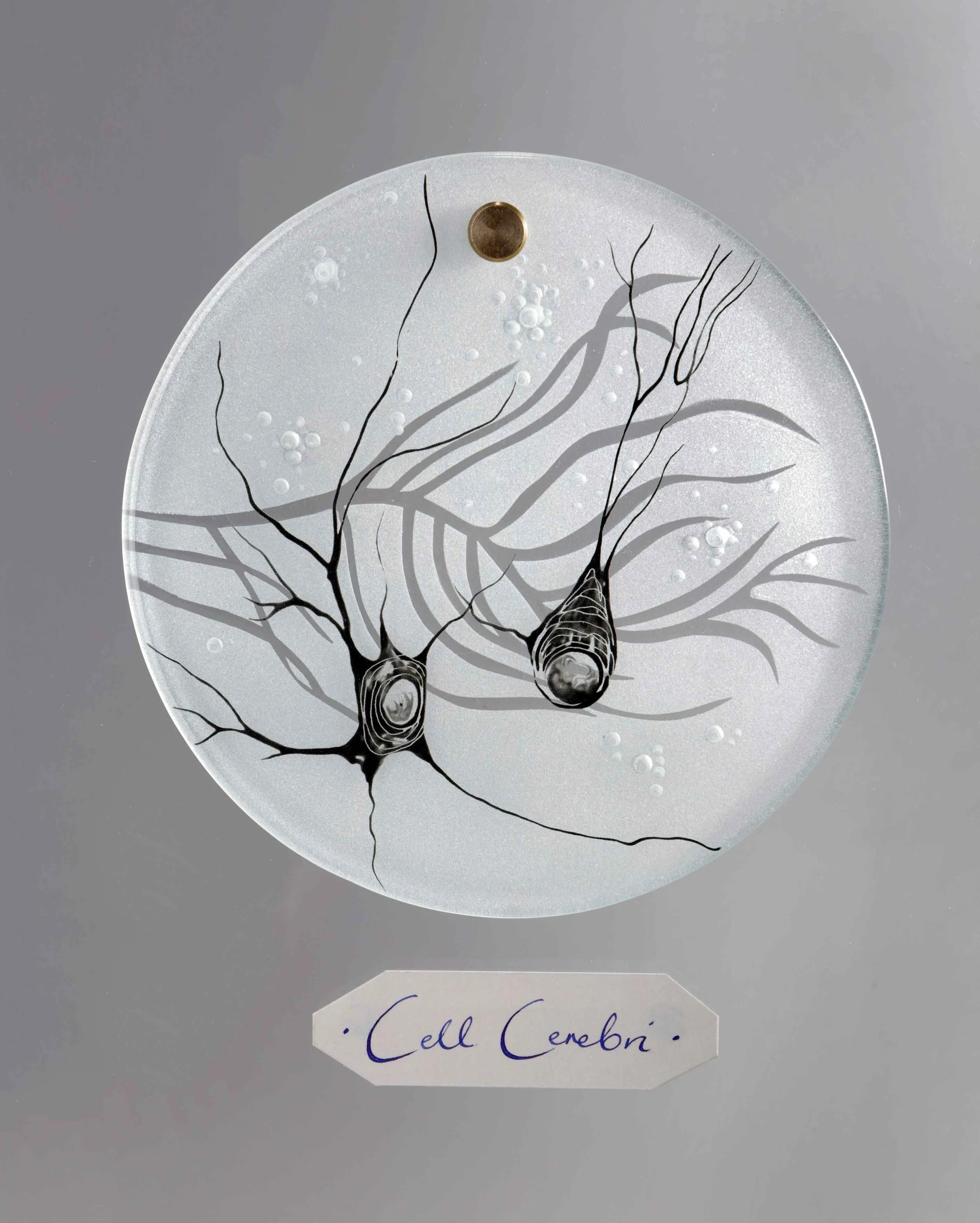 Verity-Pulford-Gardens-of-the-Mind-Arts-Council-of-Wales-glass-artist-(15).jpg