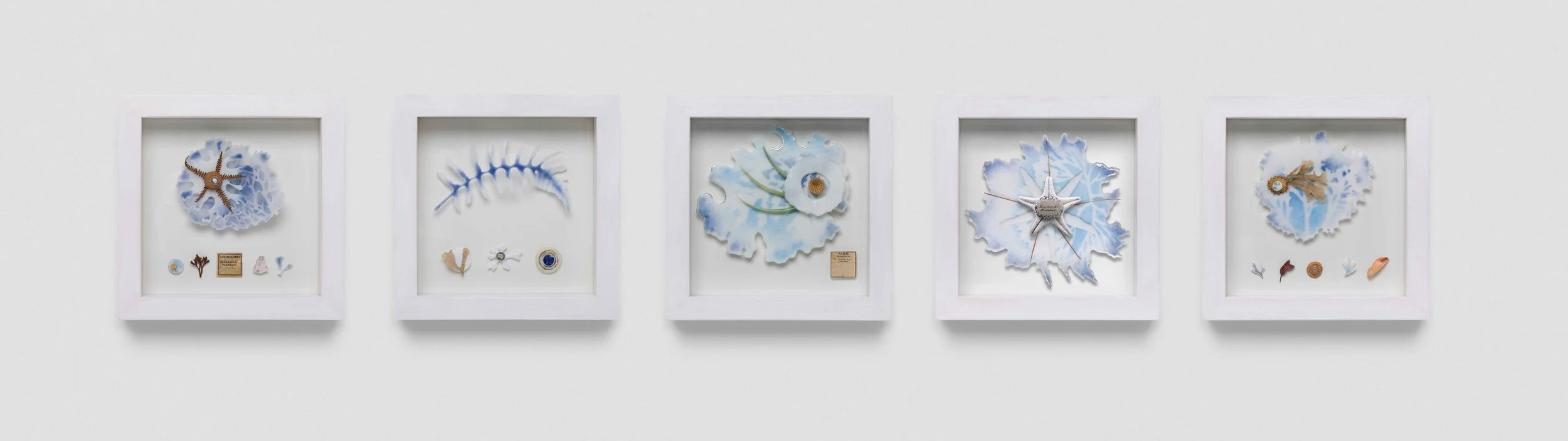 Sealight Framed Collections, Pate de Verre Glass and Natural Found Objects, 20x20cm each