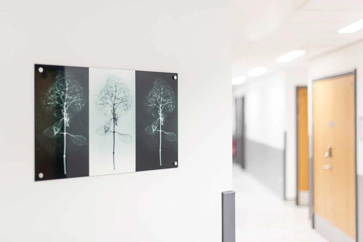 Glan Clwyd Radiology Department