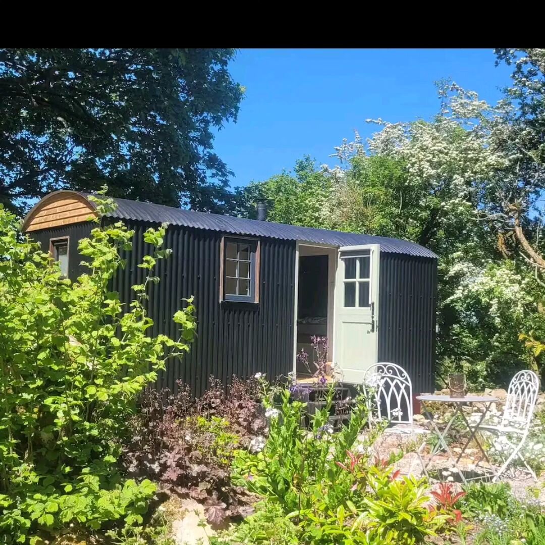 Our Shepherd's Hut is now available at a reduced price in spring 😊
Why don't you come and spend a night or few in our peaceful and beautiful place. Home-baked sourdough, homemade jam and a cosy hut awaits you 💗❤️💗❤️ there are stunning quiet walks 