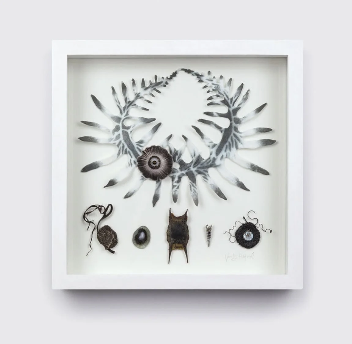 A new large framed piece including pate de verre glass ferns, cast glass shell, collages of glass, porcelain and found objects including shell, mermaids purse and seaweed. 
Made for @craftfestival #cardigan ❤️🫶🌟

Stephen Heaton Photography 🫶

#cla