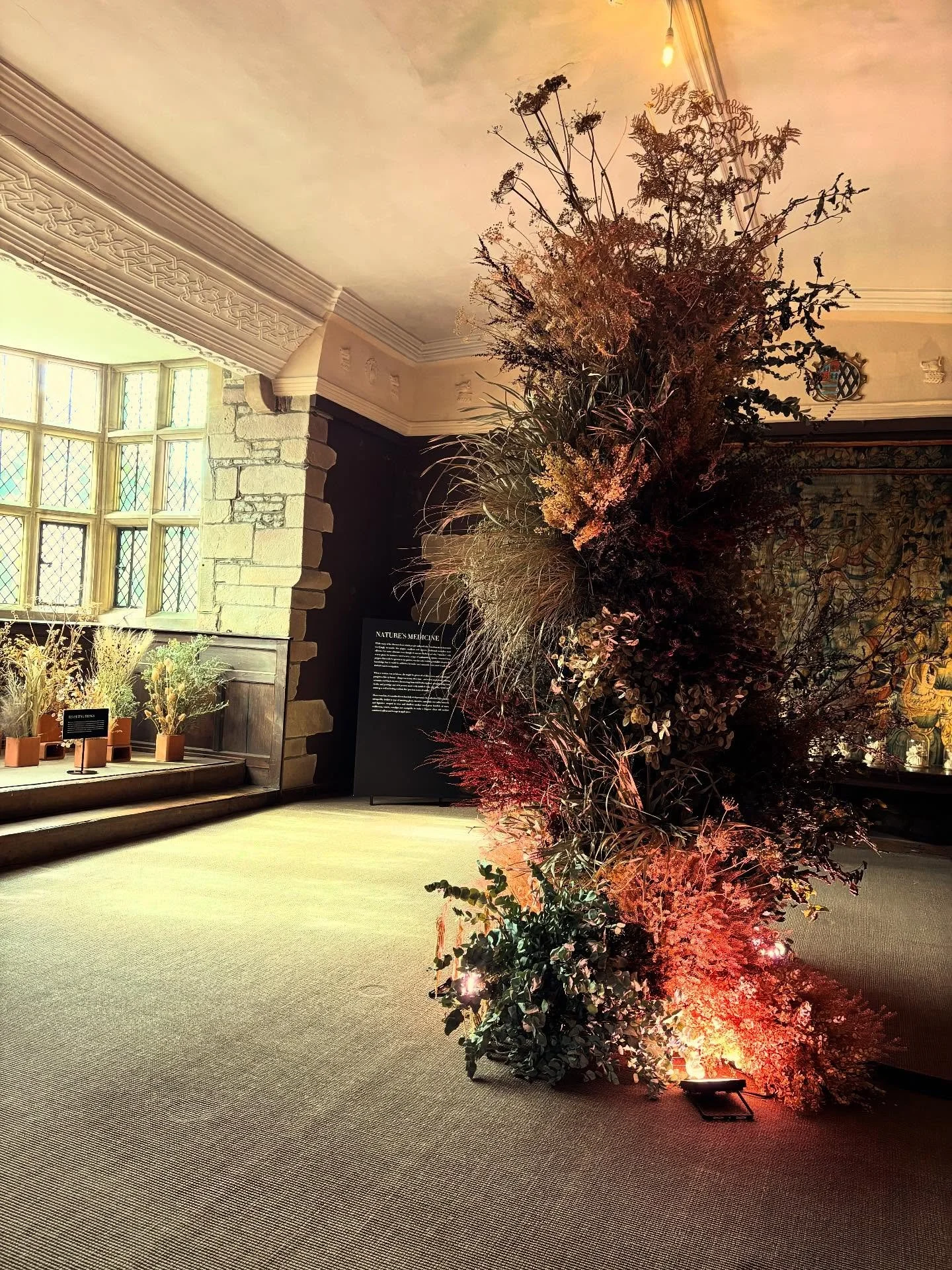 So today I have been on a visit to the stunning @haddonhall to collect my mushrooms which have been exhibited there in Showcase 2 with @qestcraft 
There is a wonderful exhibition on currently called Magic- Charms, Rituals and the Superstitions of Eli